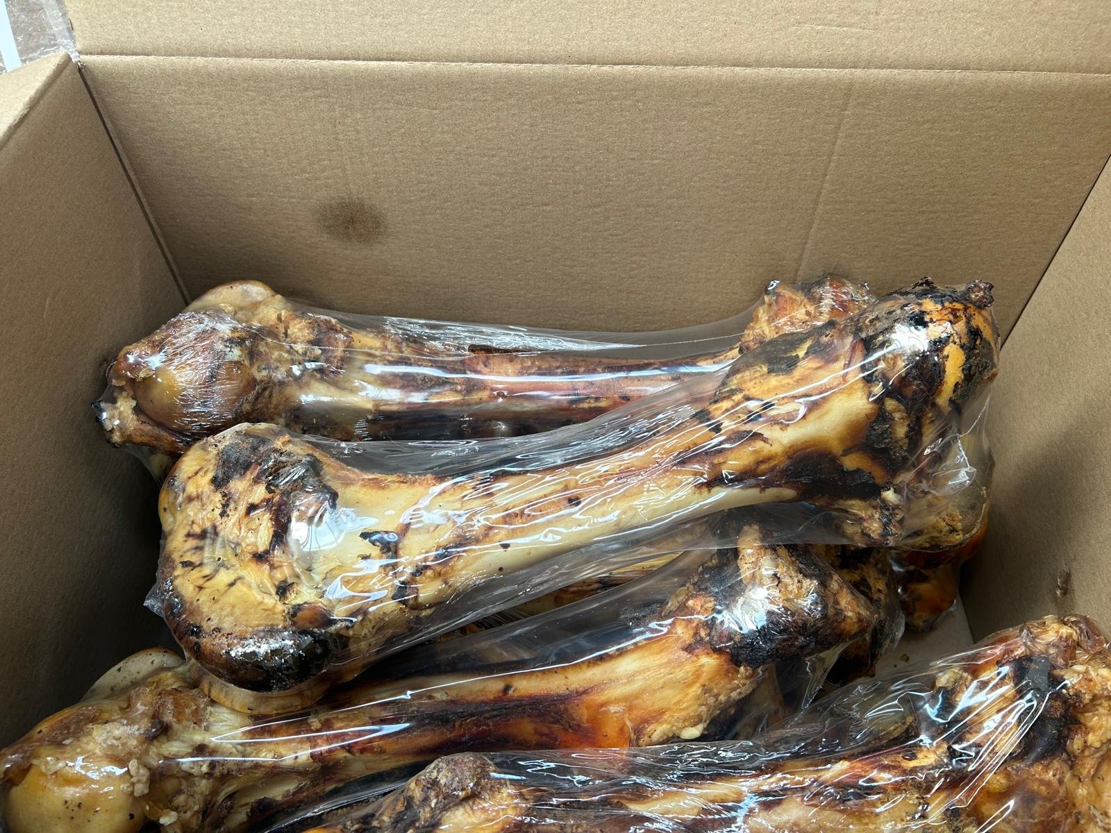 Dino Bone