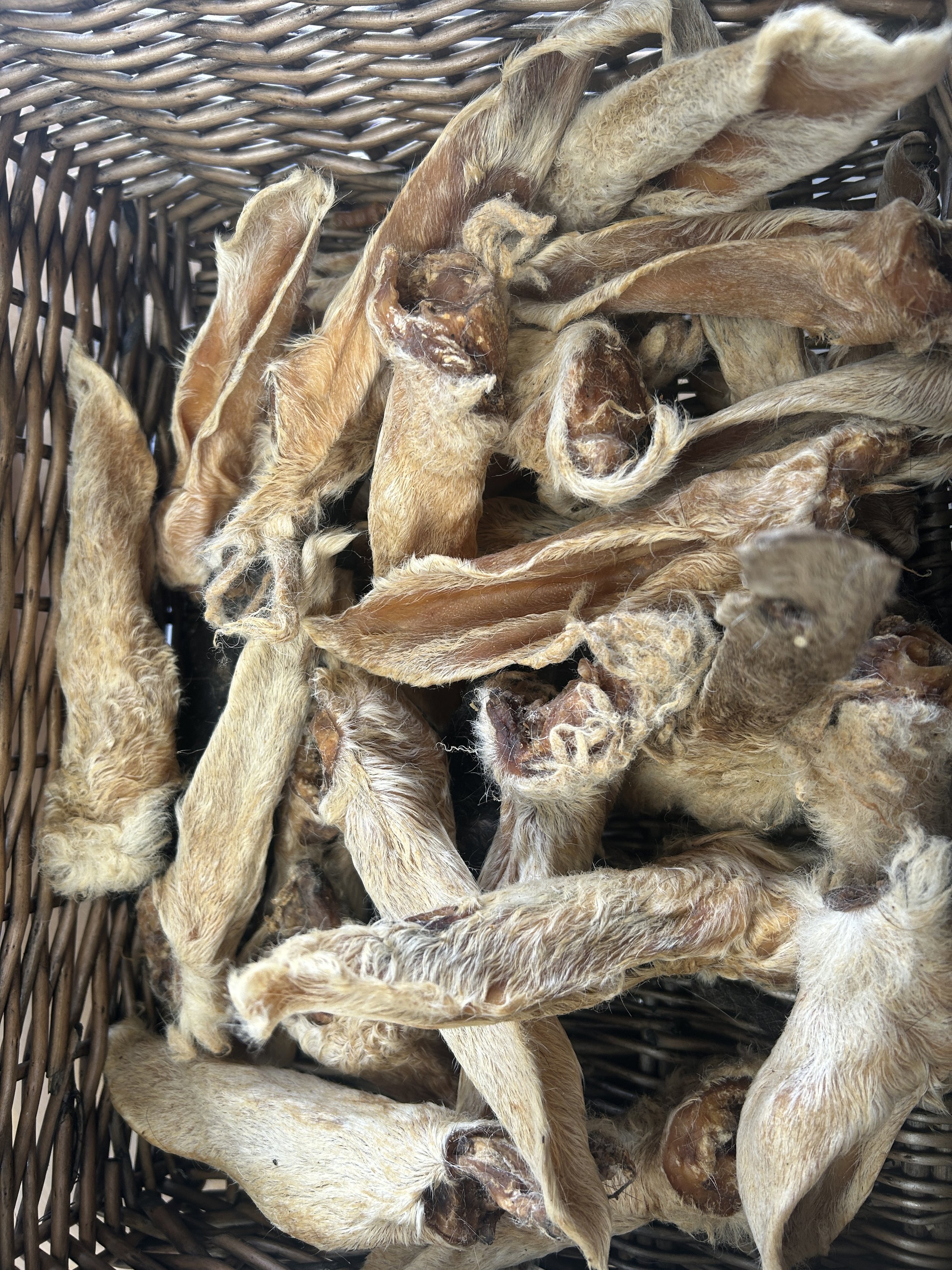 Lamb Ears