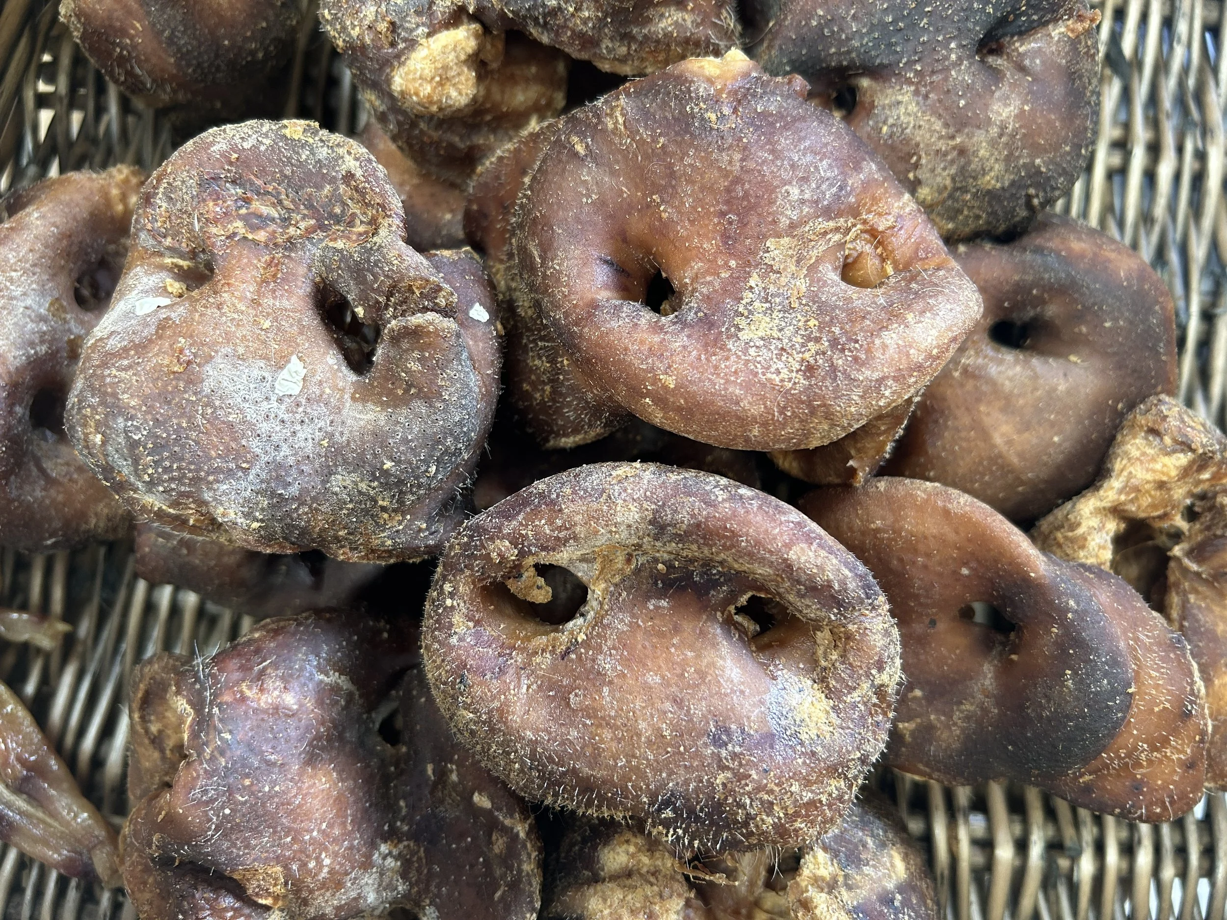 Pigs Nose