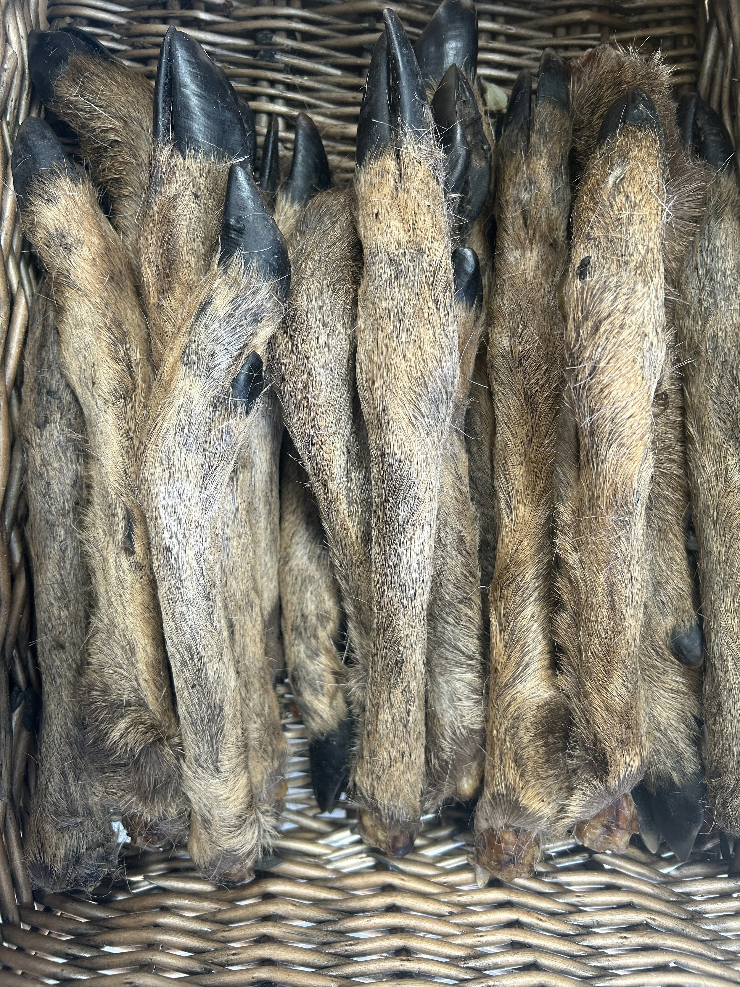 Roe Legs