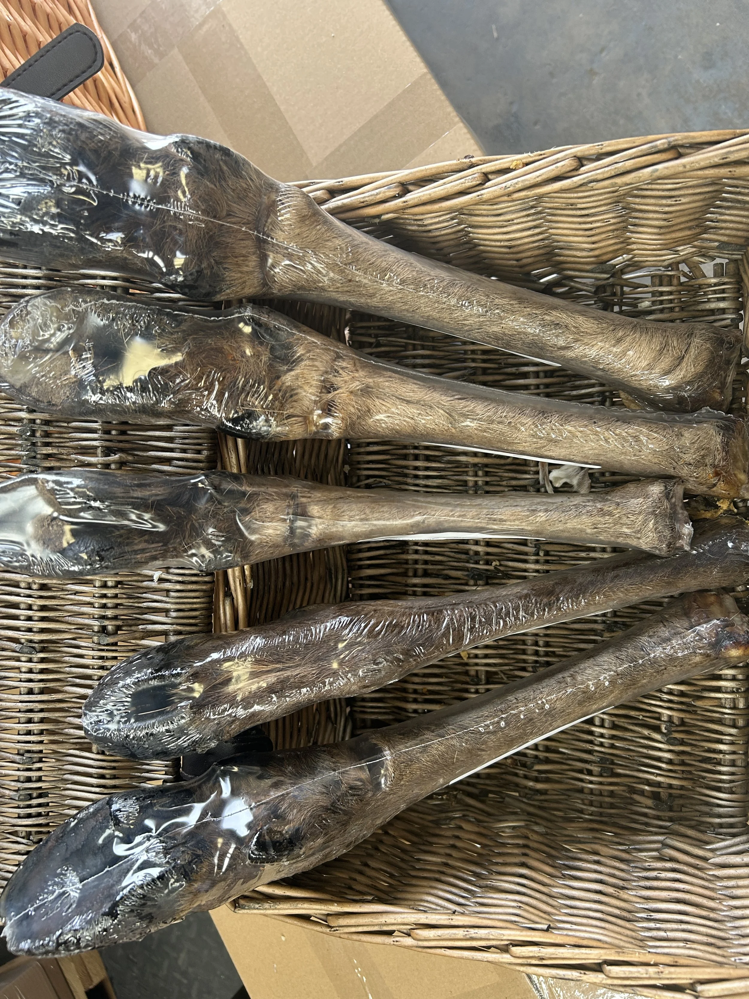 Deer Legs - Large