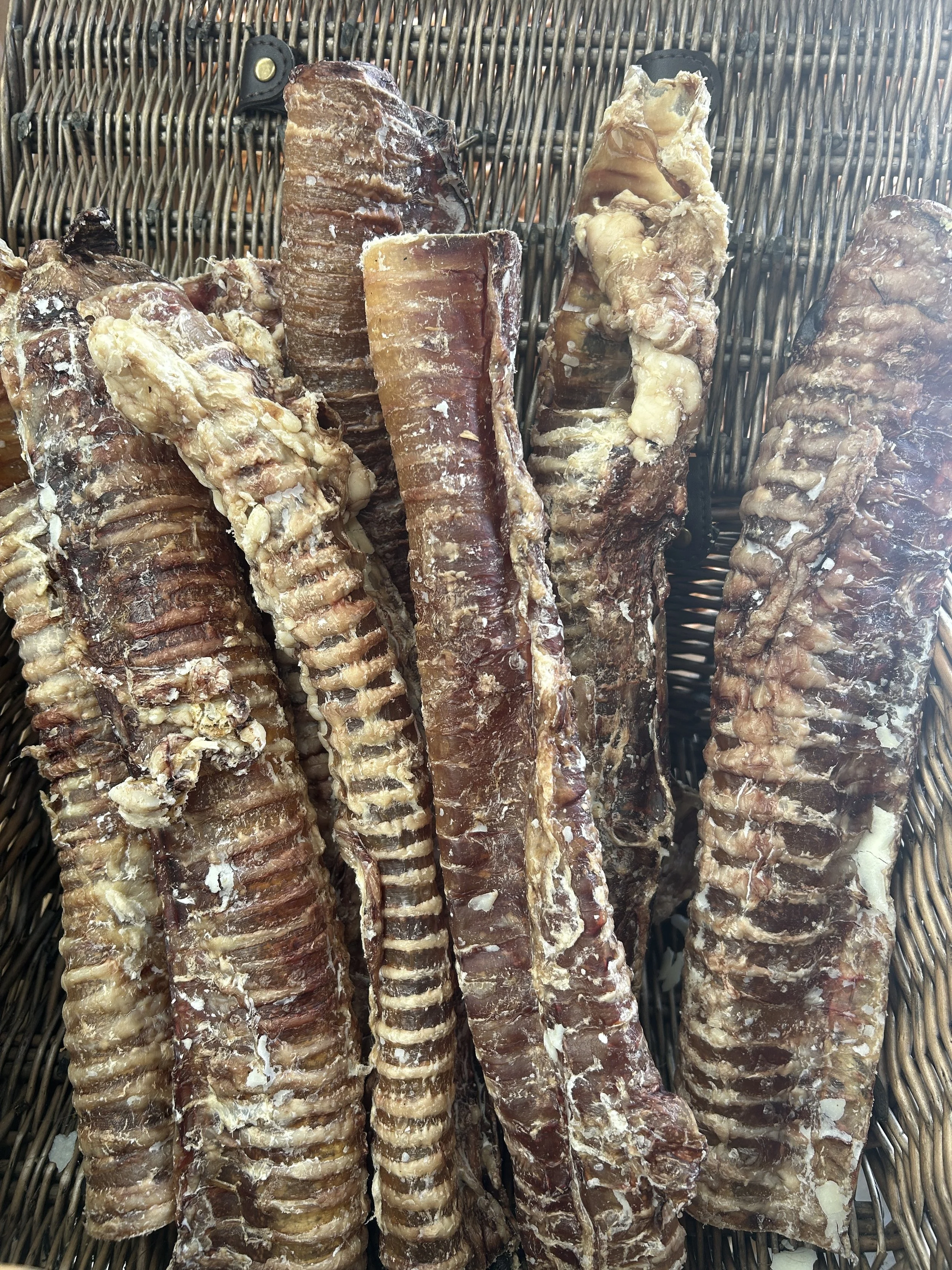 Beef Trachea
