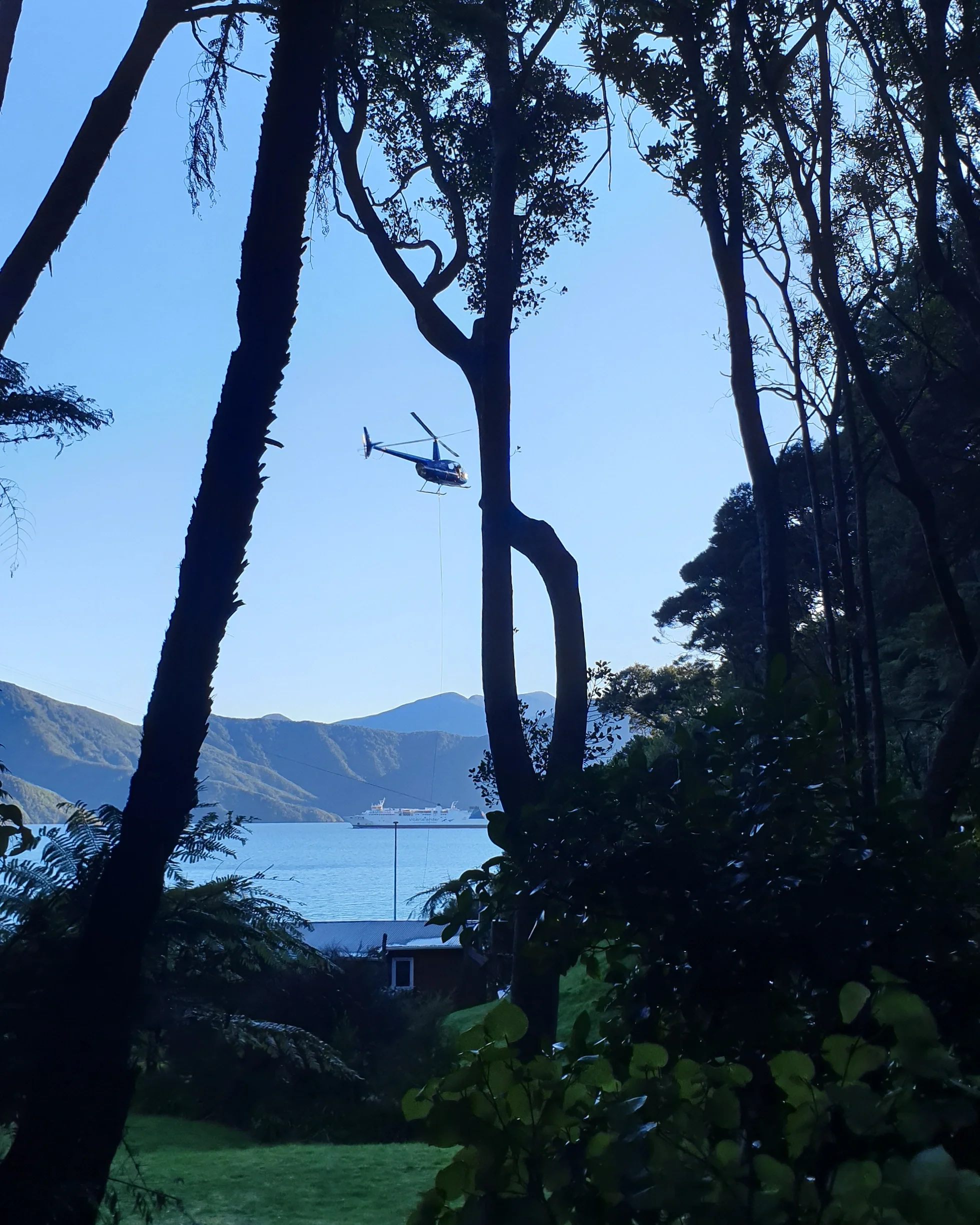 A view of a tree-lined landscape with a large body of water and mountains in the background. A cruise ship is visible on the water, with the sky clear and blue.