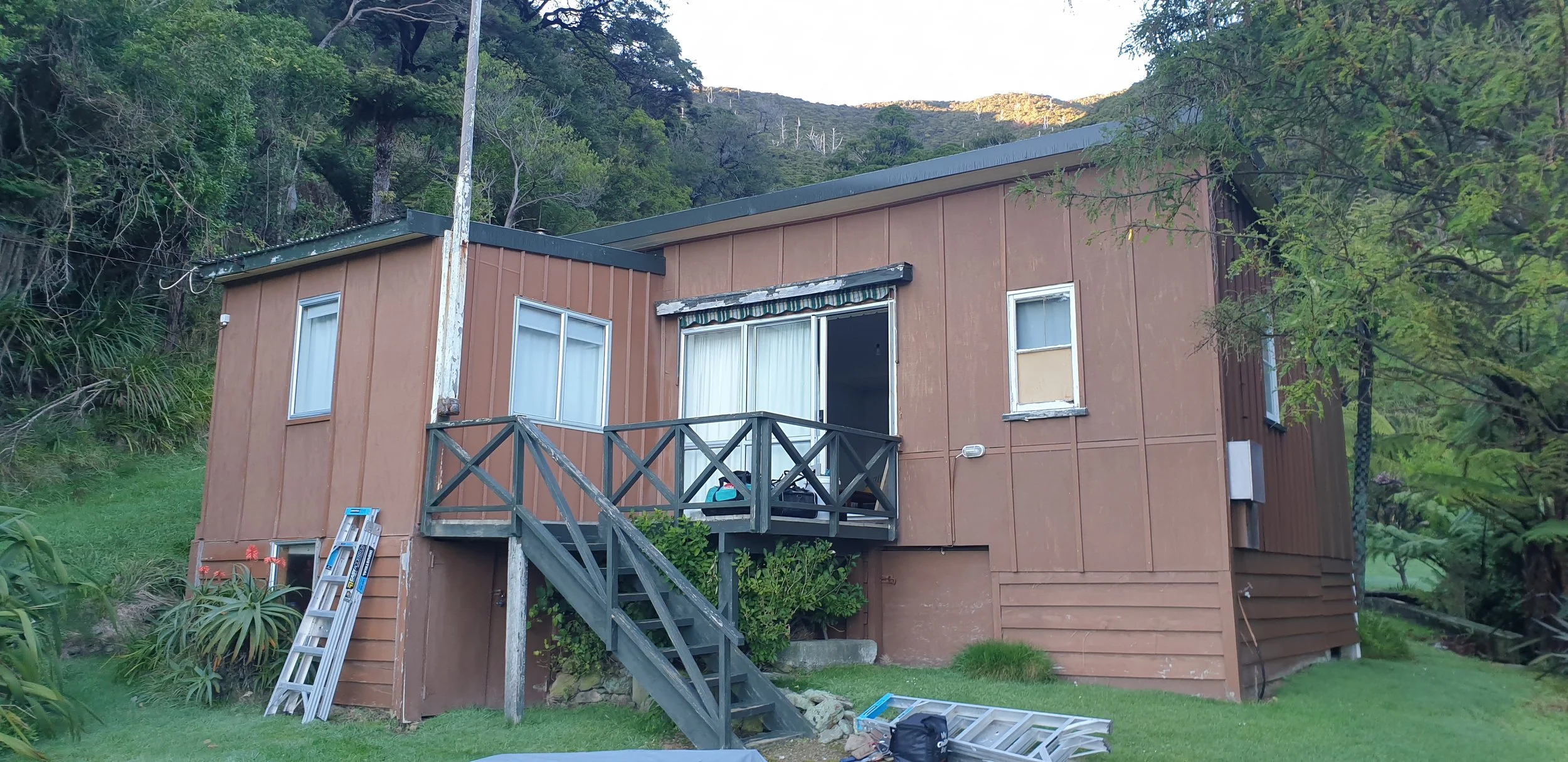 A two-story brown wooden house on a grassy hillside surrounded by trees, with a small front porch, an outdoor ladder leaning against the side, and construction tools and materials on the ground.