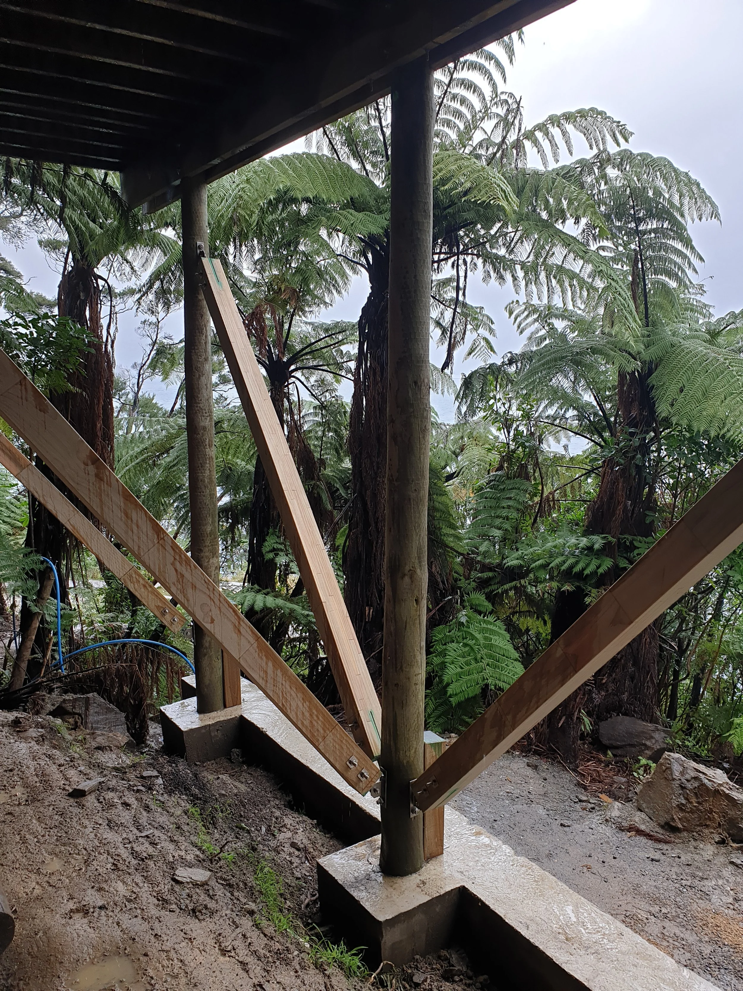 A construction site in a forest with wooden framing and support beams, surrounded by trees and greenery.