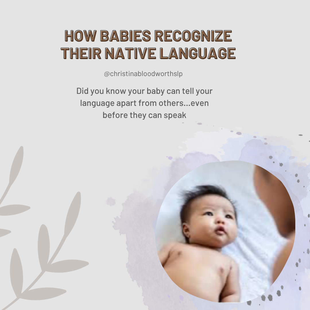 Instagram post for how babies recognize their native language by @christinabloodworthslp