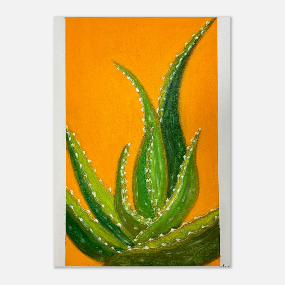 Aloe Vera Print