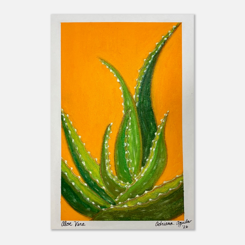 Aloe Vera Print