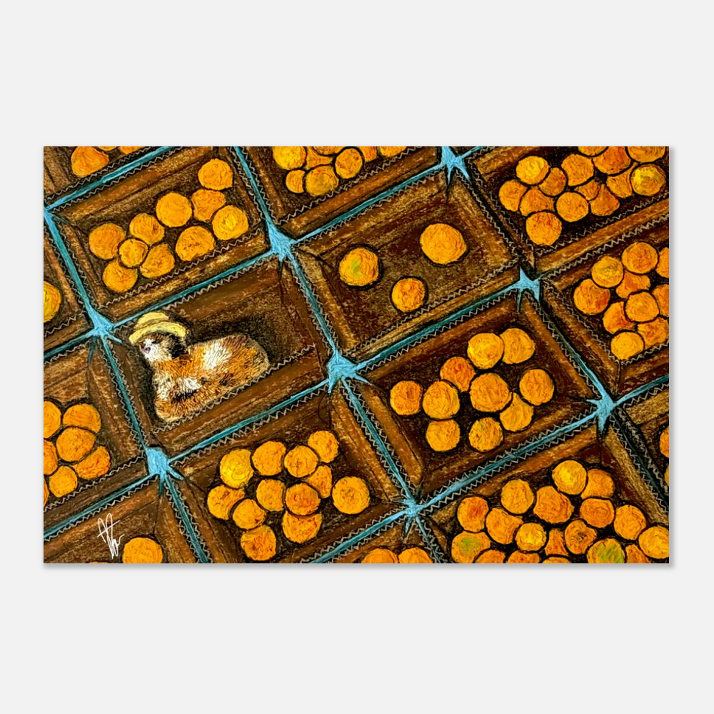 Cat Nap Print