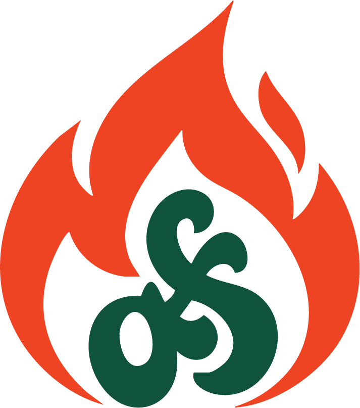 A stylized flame with the number 503 inside, combining red-orange flames with dark green numbers.