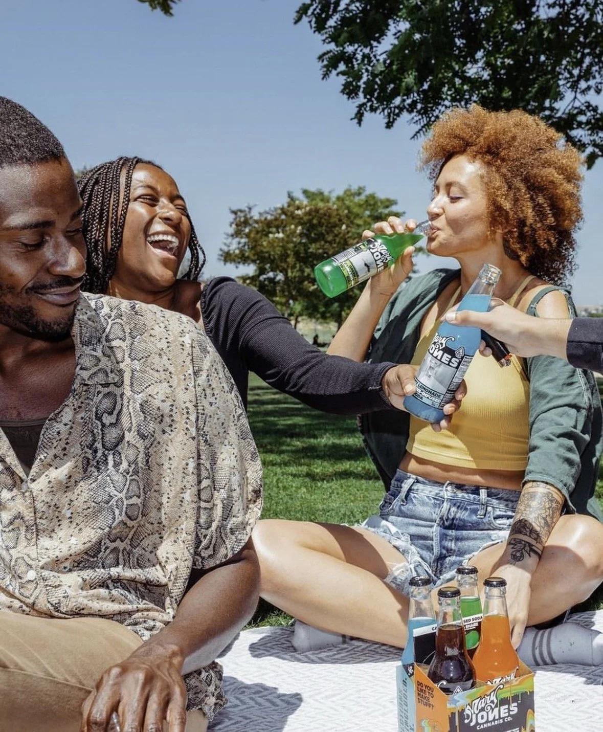 Group of friends enjoying a sunny outdoor picnic, sitting on a blanket with drinks, laughing, and socializing in a park.