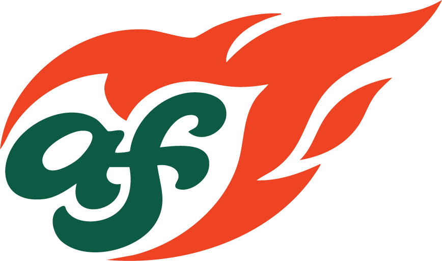 A stylized logo with an orange flame and dark green letters 'a3' in the center.