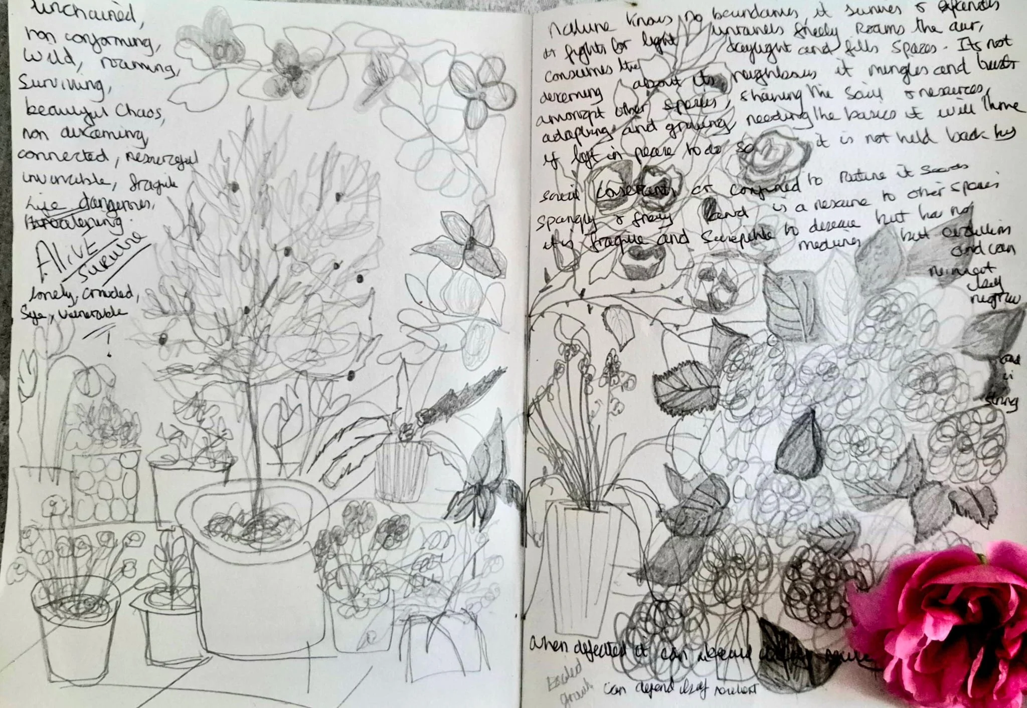 WhatsApp Image 2026-03-24 at 11.38.18.jpeg