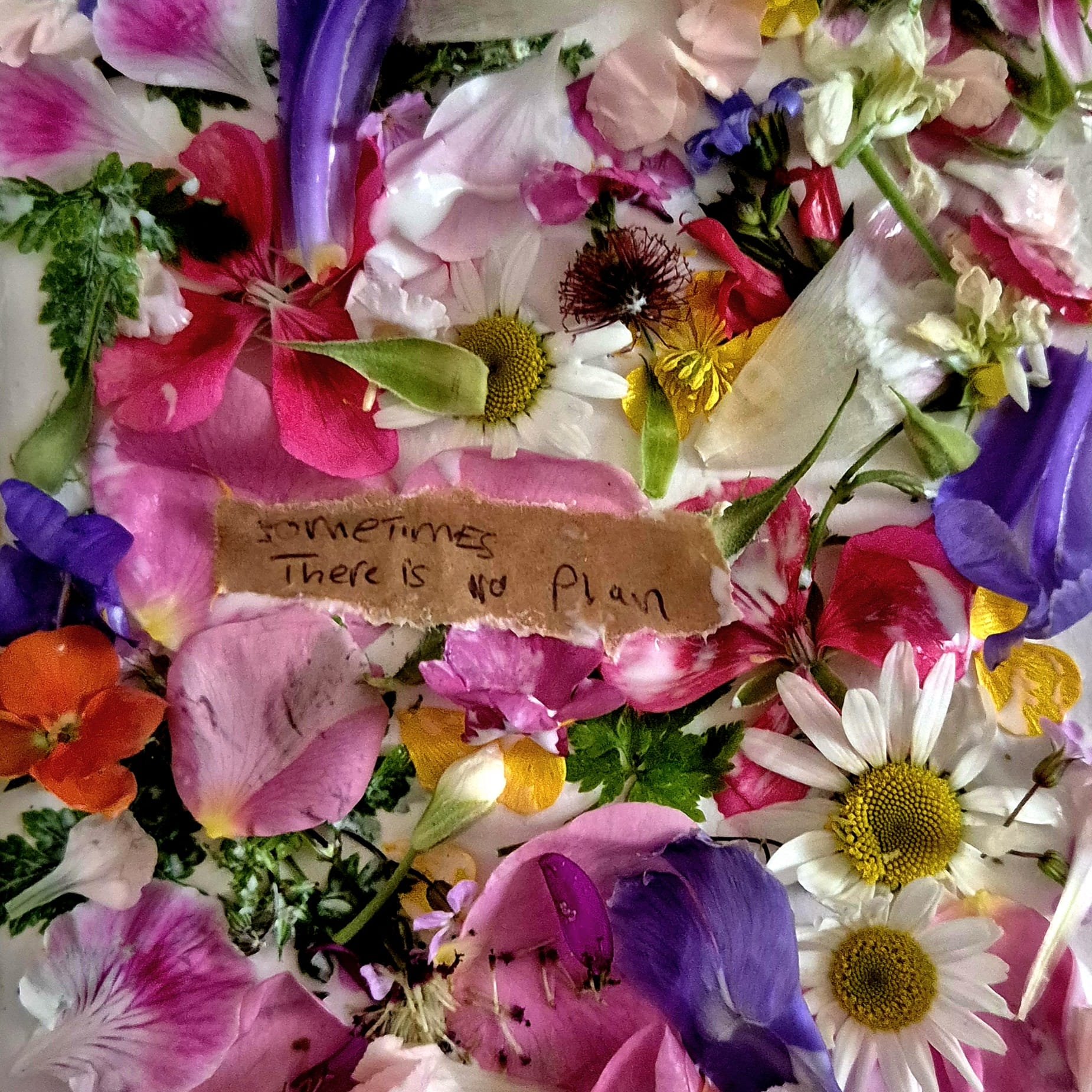 WhatsApp Image 2026-03-24 at 11.38.19 (4).jpeg