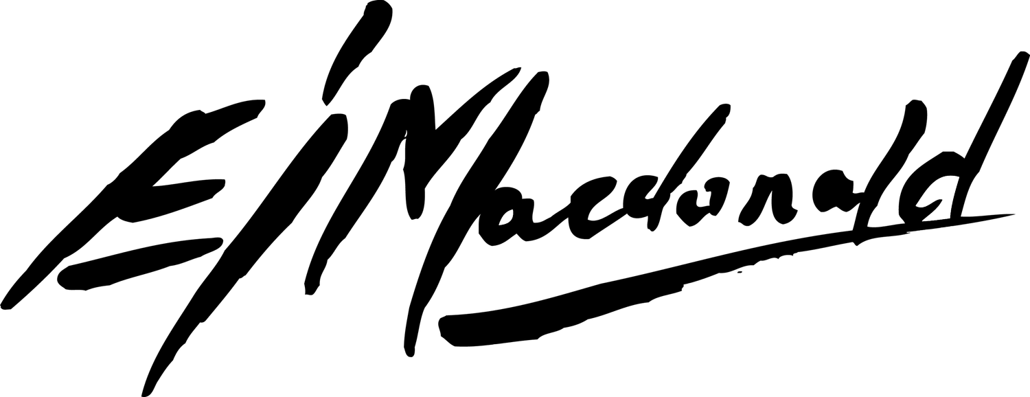 Elizabeth Macdonald Art (Copy)