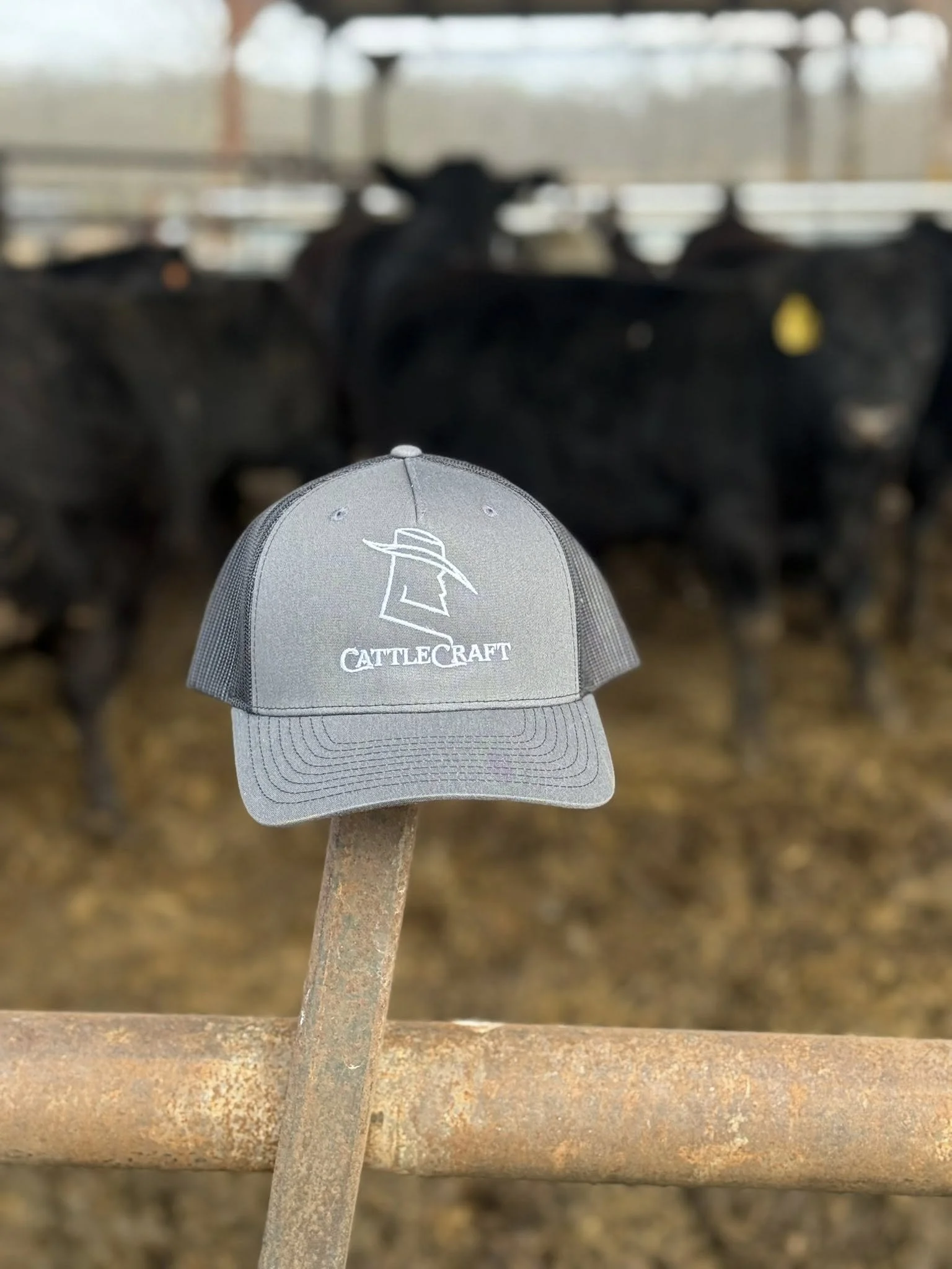 A gray baseball cap with a cattle branding logo and the words 'CattleCraft' embroidered on the front, placed on a rusty metal surface in front of a group of black cows in a barn.