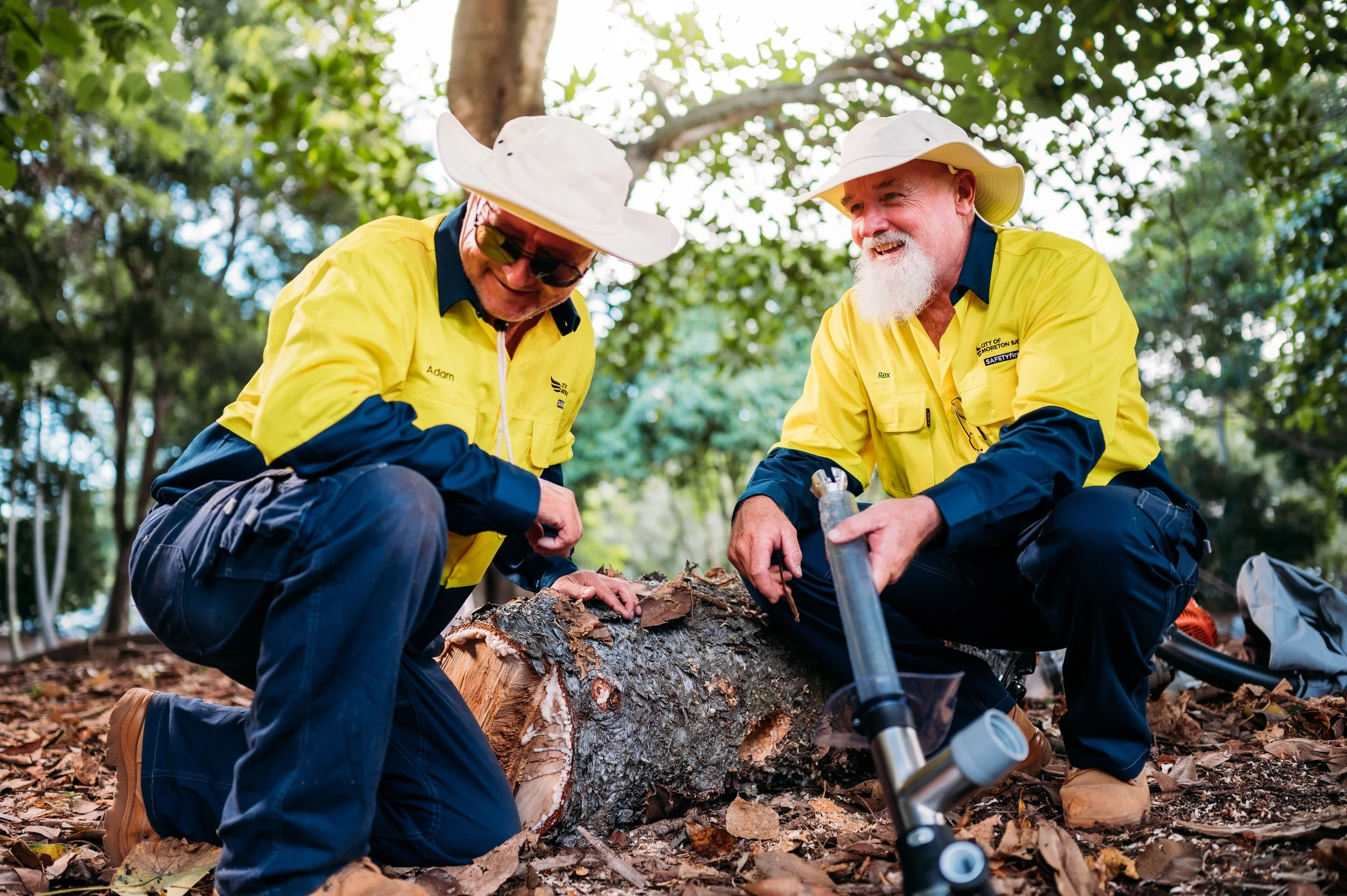 Two men in yellow jackets, hats, and boots working together to cut a fallen tree in a forested area with green foliage in the background.