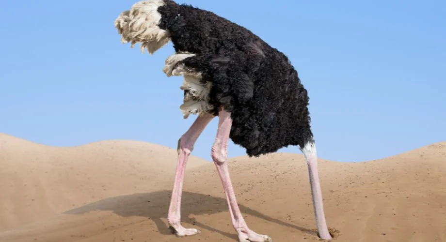 A complex and uncertain talent market: Lean in or lose