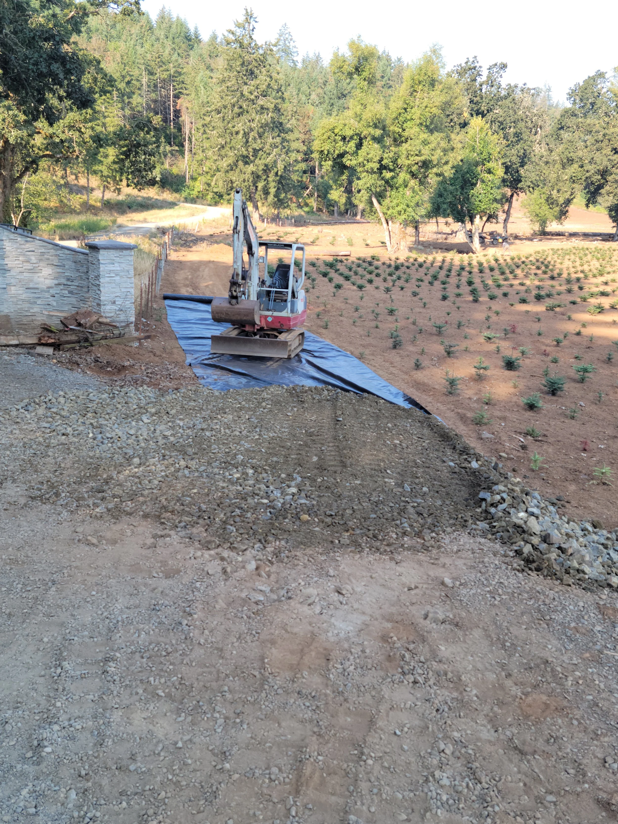 New access road to Christmas tree farm