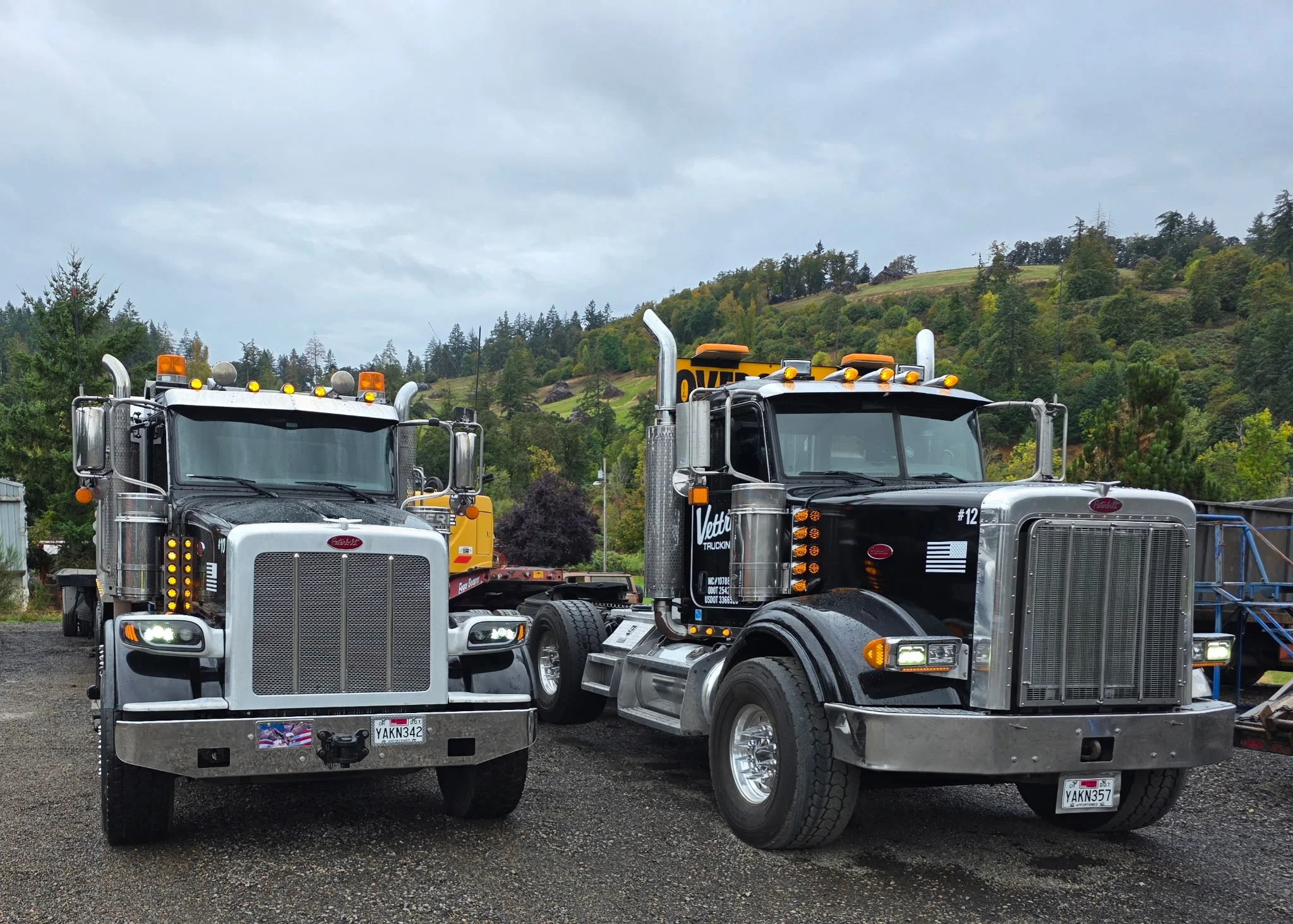Multiple semi-trucks parked outdoors against a scenic background of trees and hills under a cloudy sky.