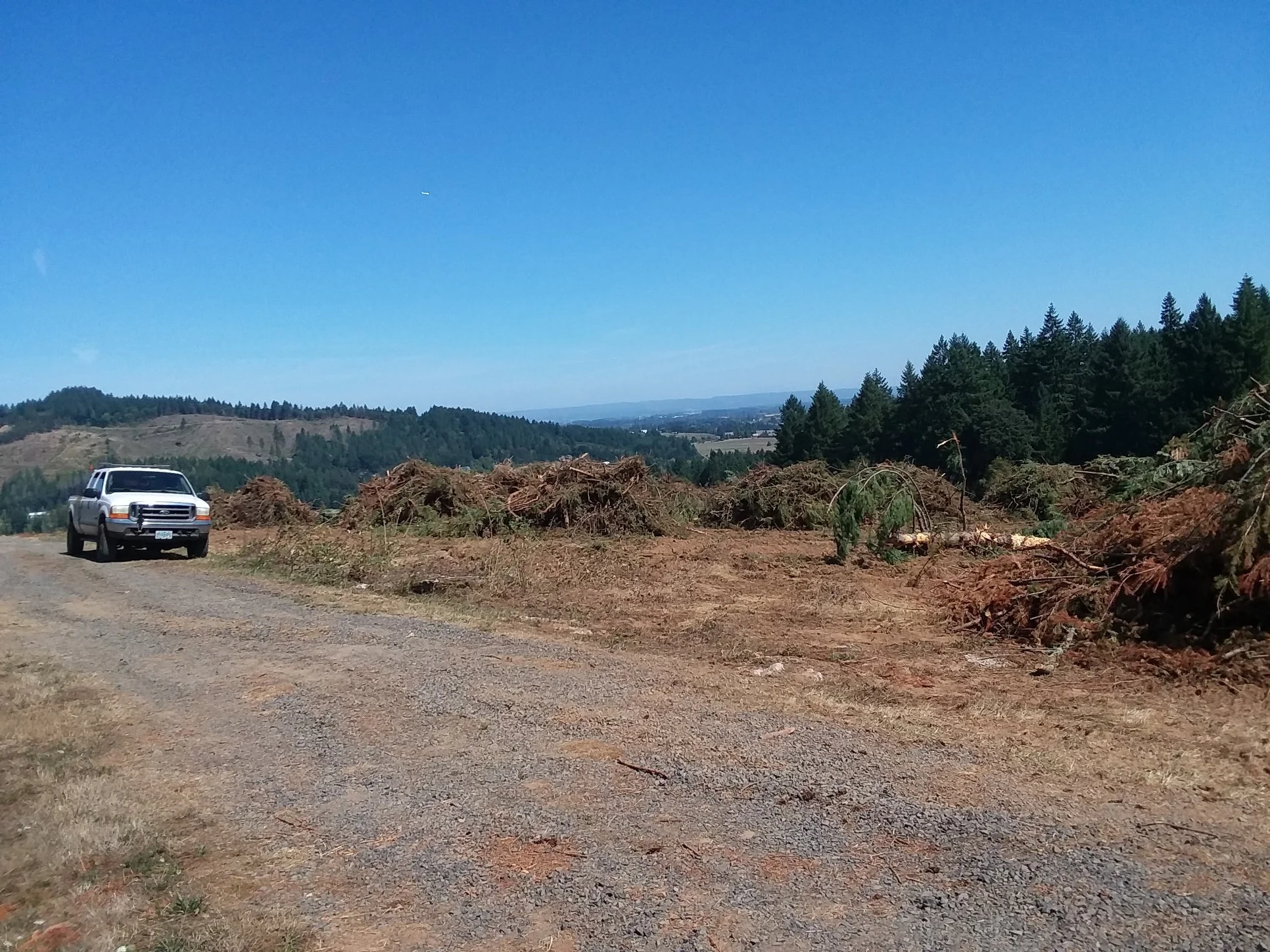 A pickup truck parked on a dirt area surrounded by fallen trees and branches, with rolling hills and forested mountains in the background under a clear blue sky.