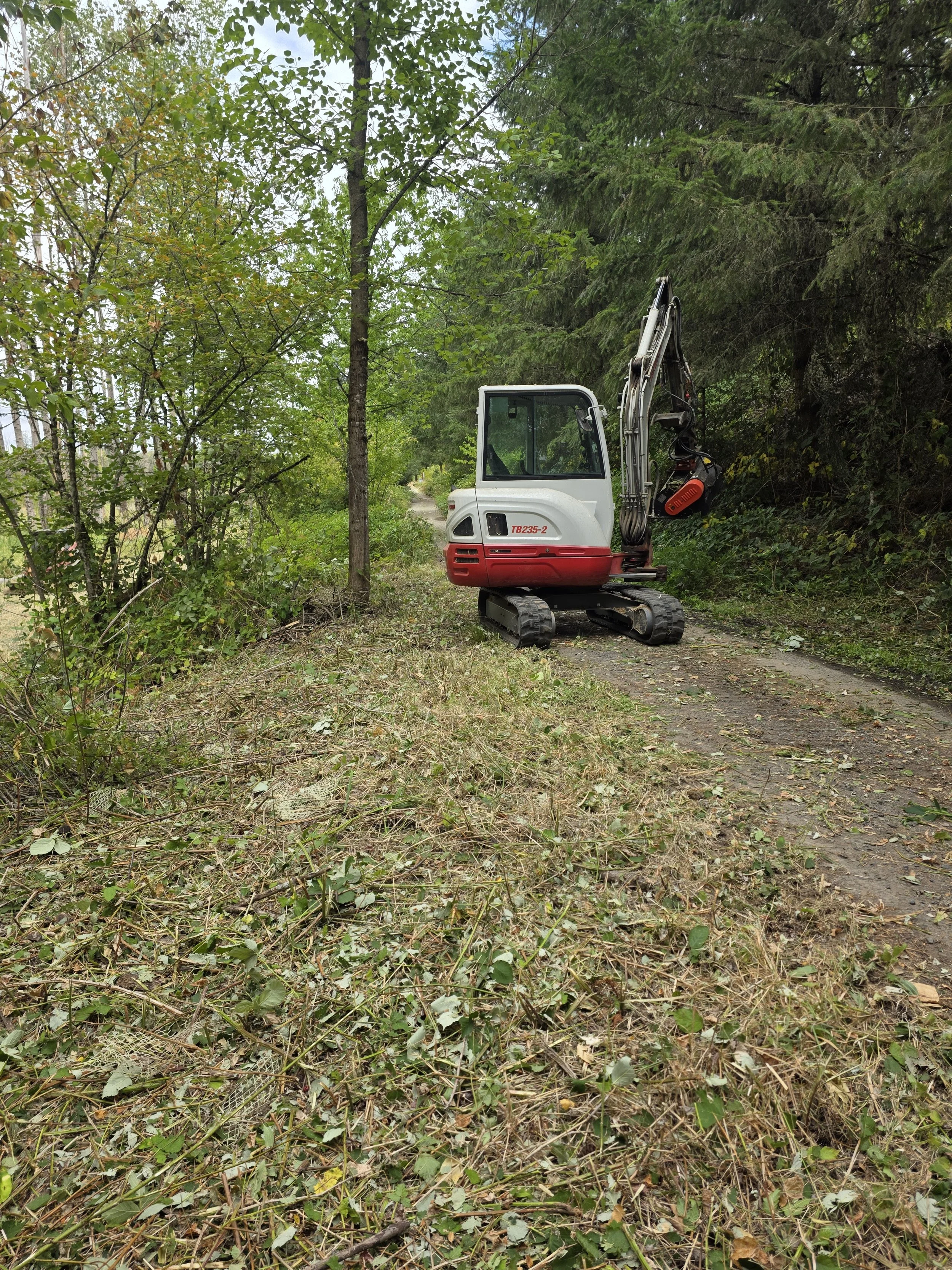 Brush clearing a road with a mini excavator in Turner Oregon