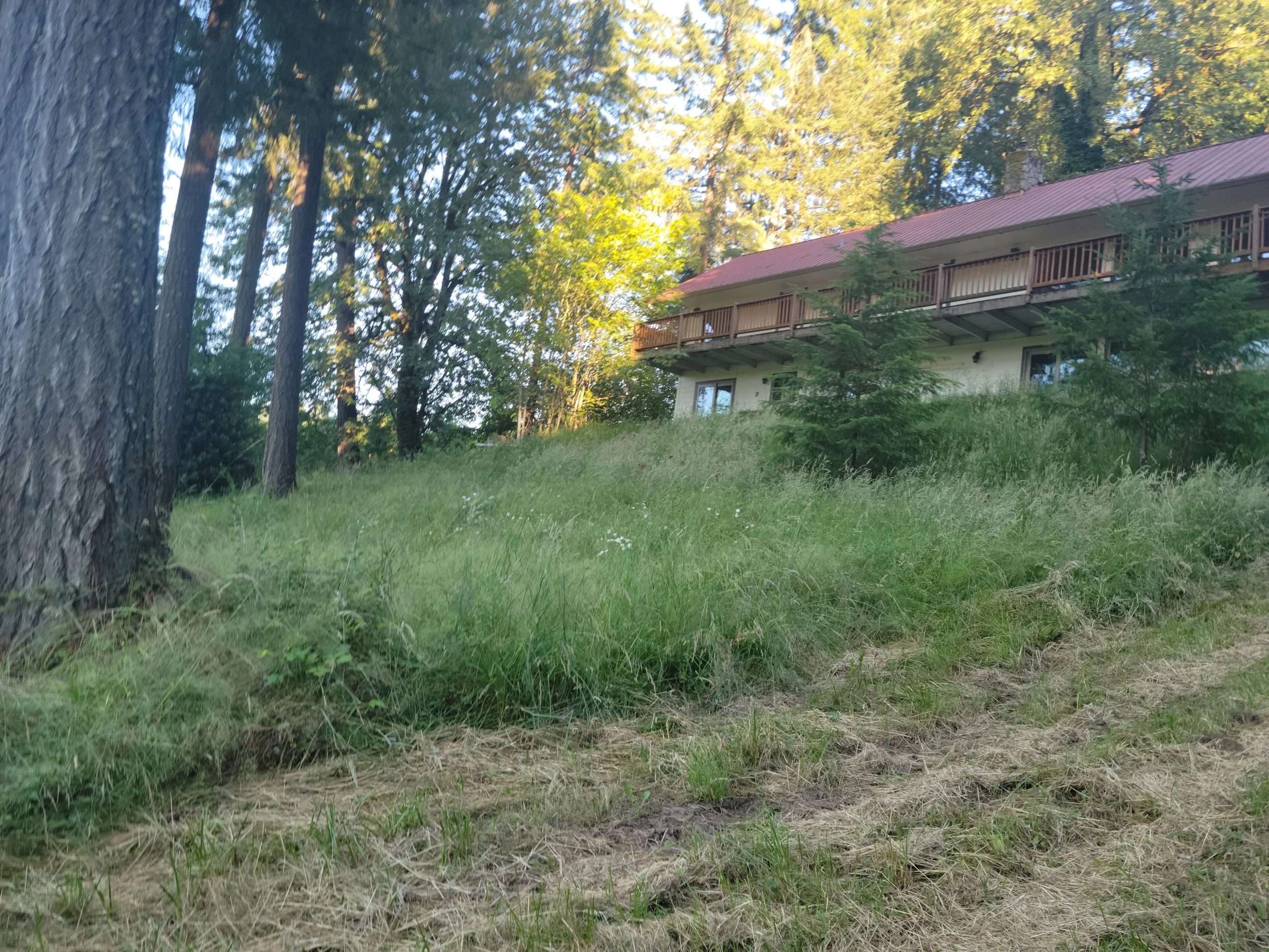 Hill before rock wall Sherwood Oregon.