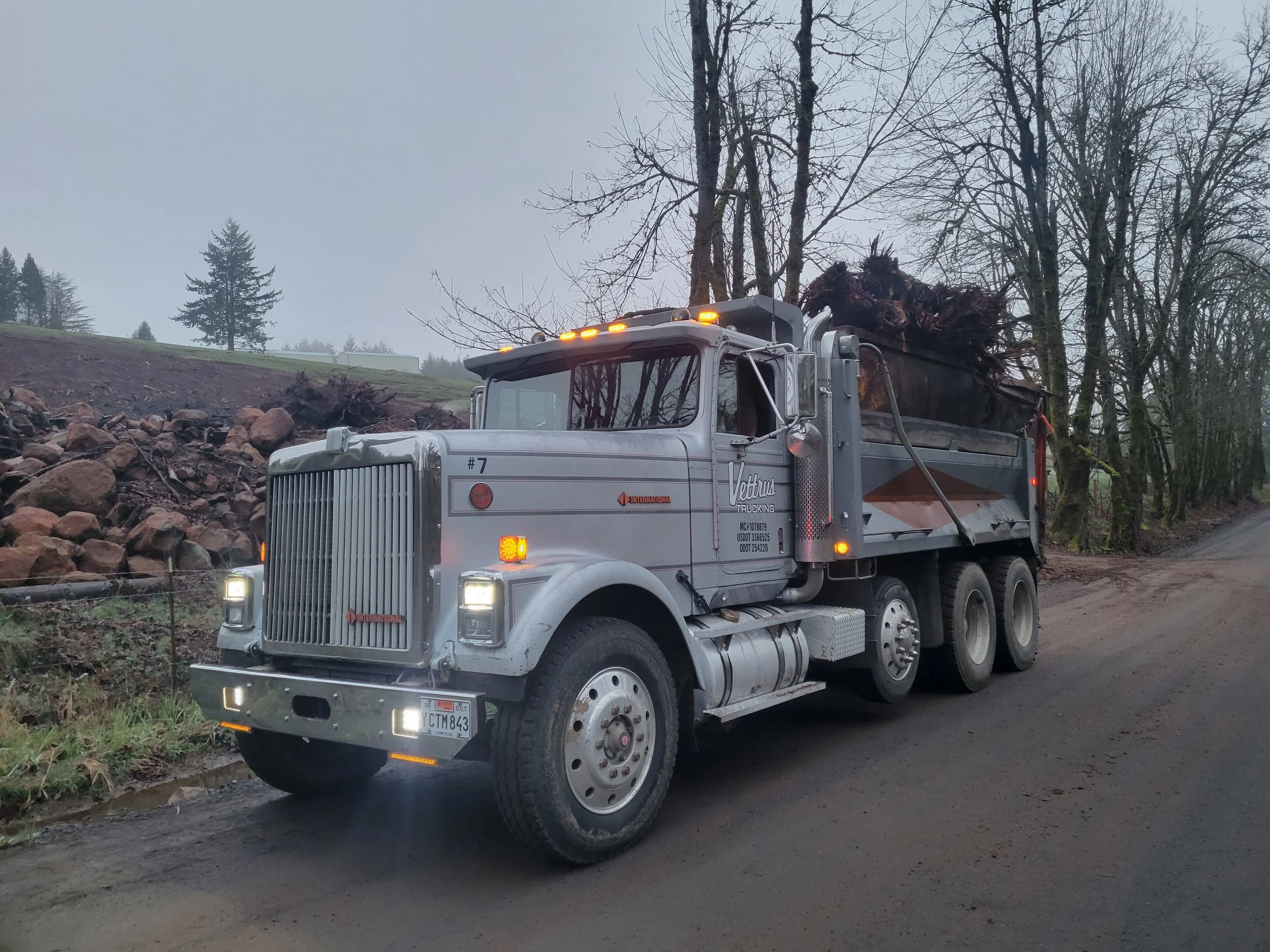 A gray dump truck with orange lights driving on a rural road, carrying a load of uprooted tree stumps and roots, with bare trees and a foggy sky in the background.