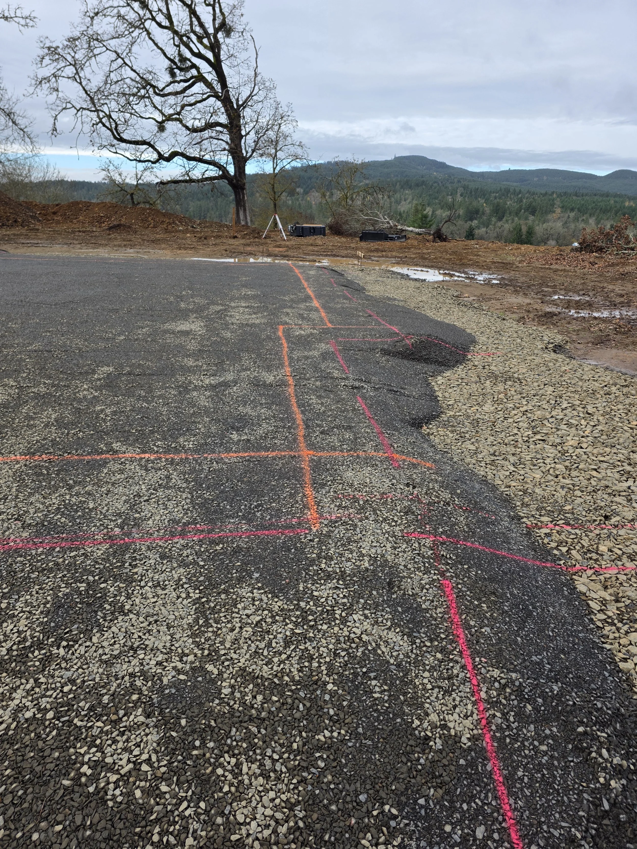 A forested hillside with a tree, some fallen branches, and equipment, viewed from a paved roadside with orange spray paint markings. Laying out house foundation in Albany Oregon.