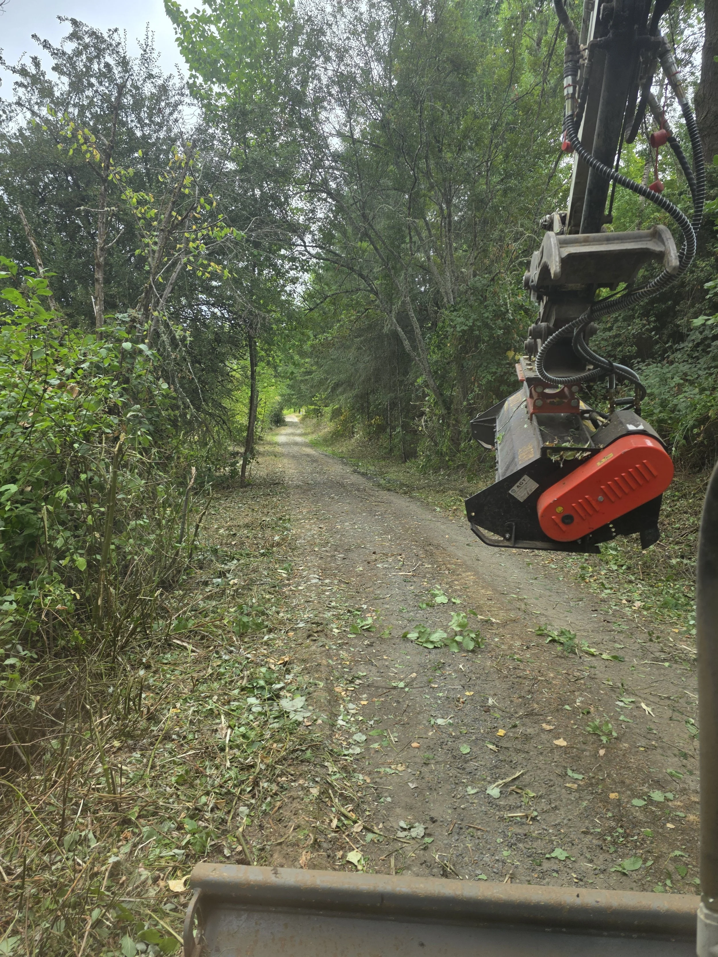Brush clearing a road with a mini excavator in Turner Oregon
