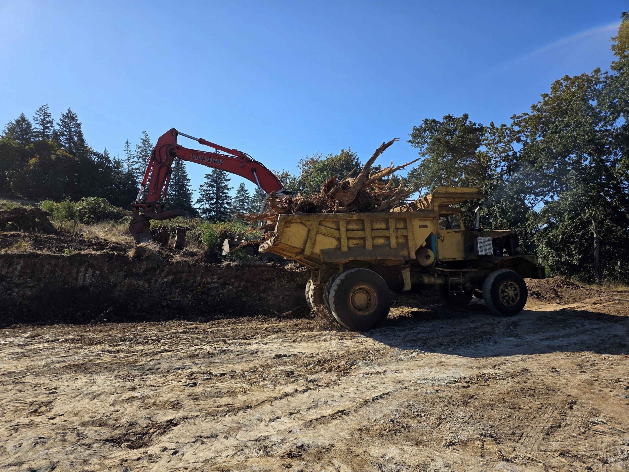A yellow dump truck with a red backhoe loader attachment is dumping a load of large tree branches and debris onto a dirt ground. The background features a forest of tall pine and deciduous trees under a clear blue sky. Brownsville Oregon