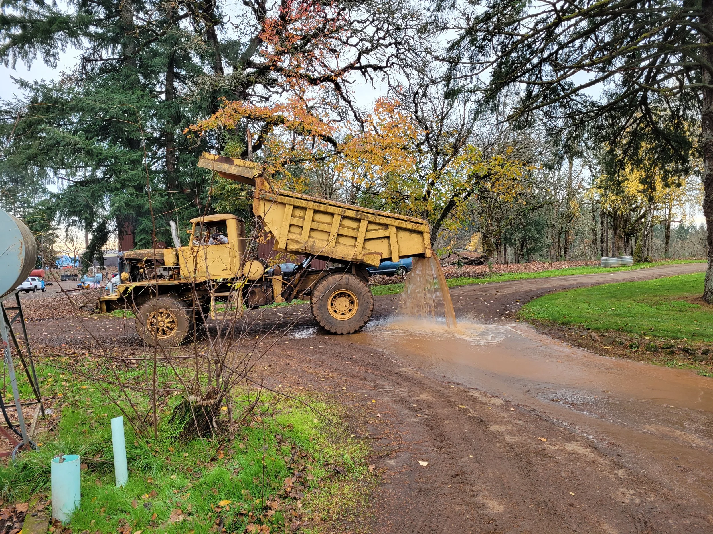 A yellow Dump truck working on muddy ground in a park-like area with trees and parked cars in the background.