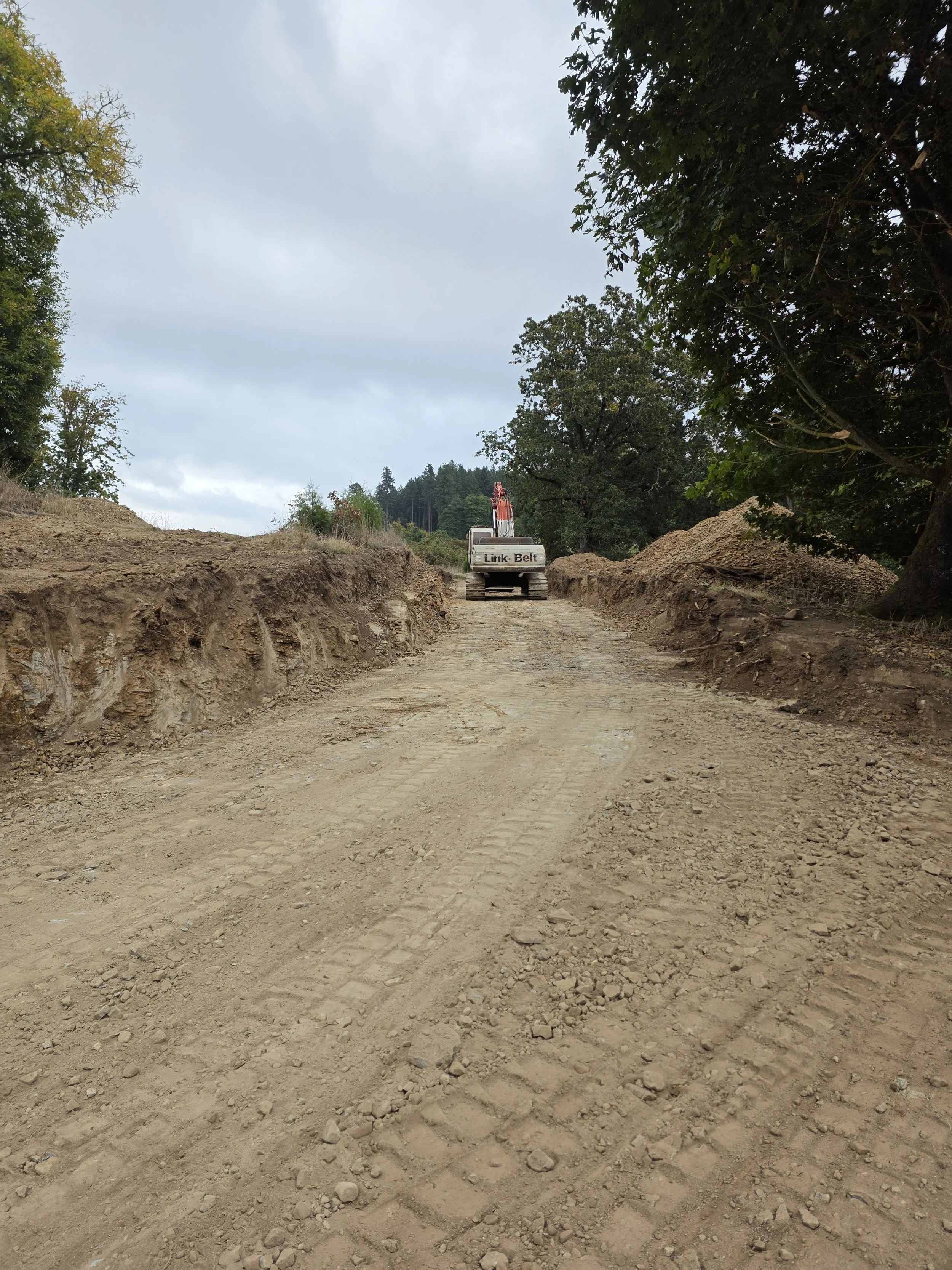 Construction site with an excavator working on a dirt road surrounded by trees and cloudy sky.