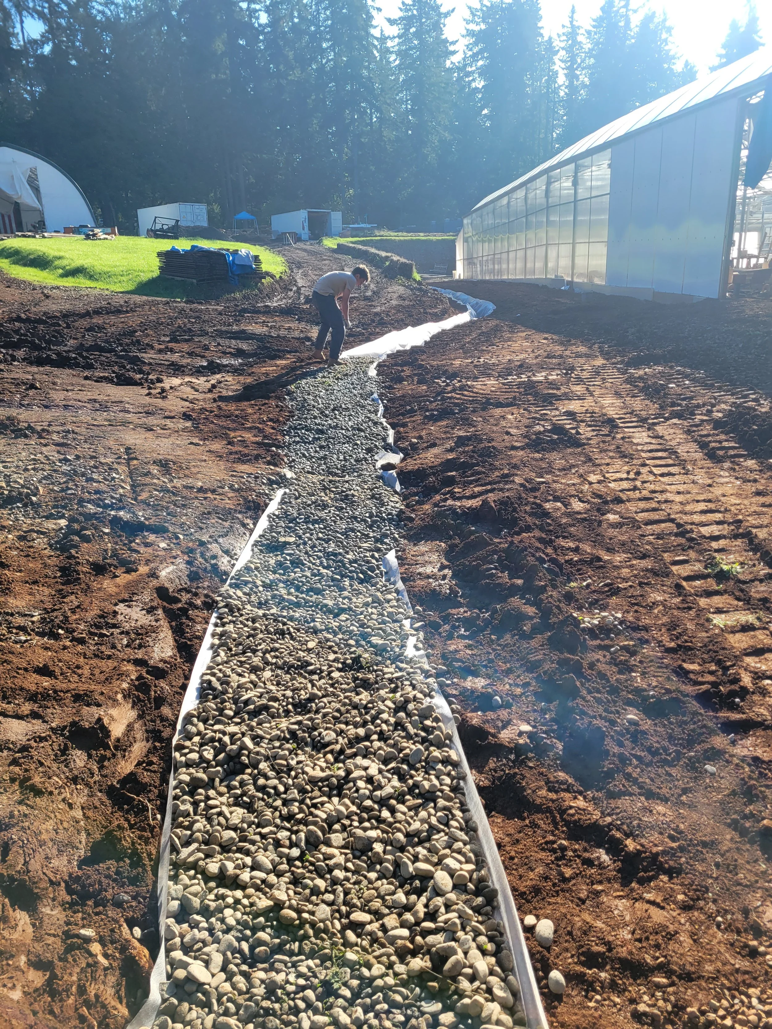 Action Jackson Excavation fixing a drainage problem in Aumsville Oregon.