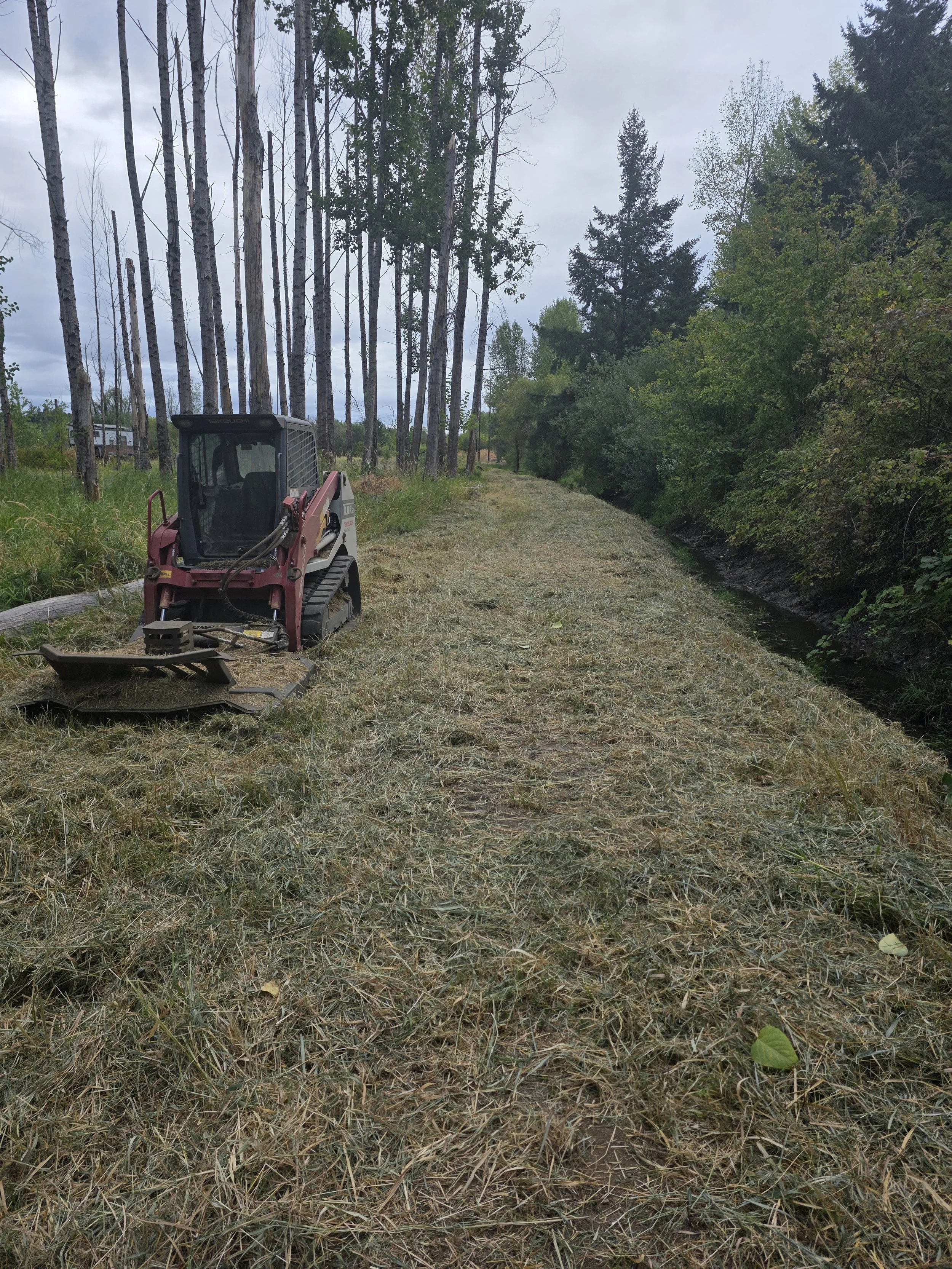 Brush clearing a road with a mini excavator in Turner Oregon