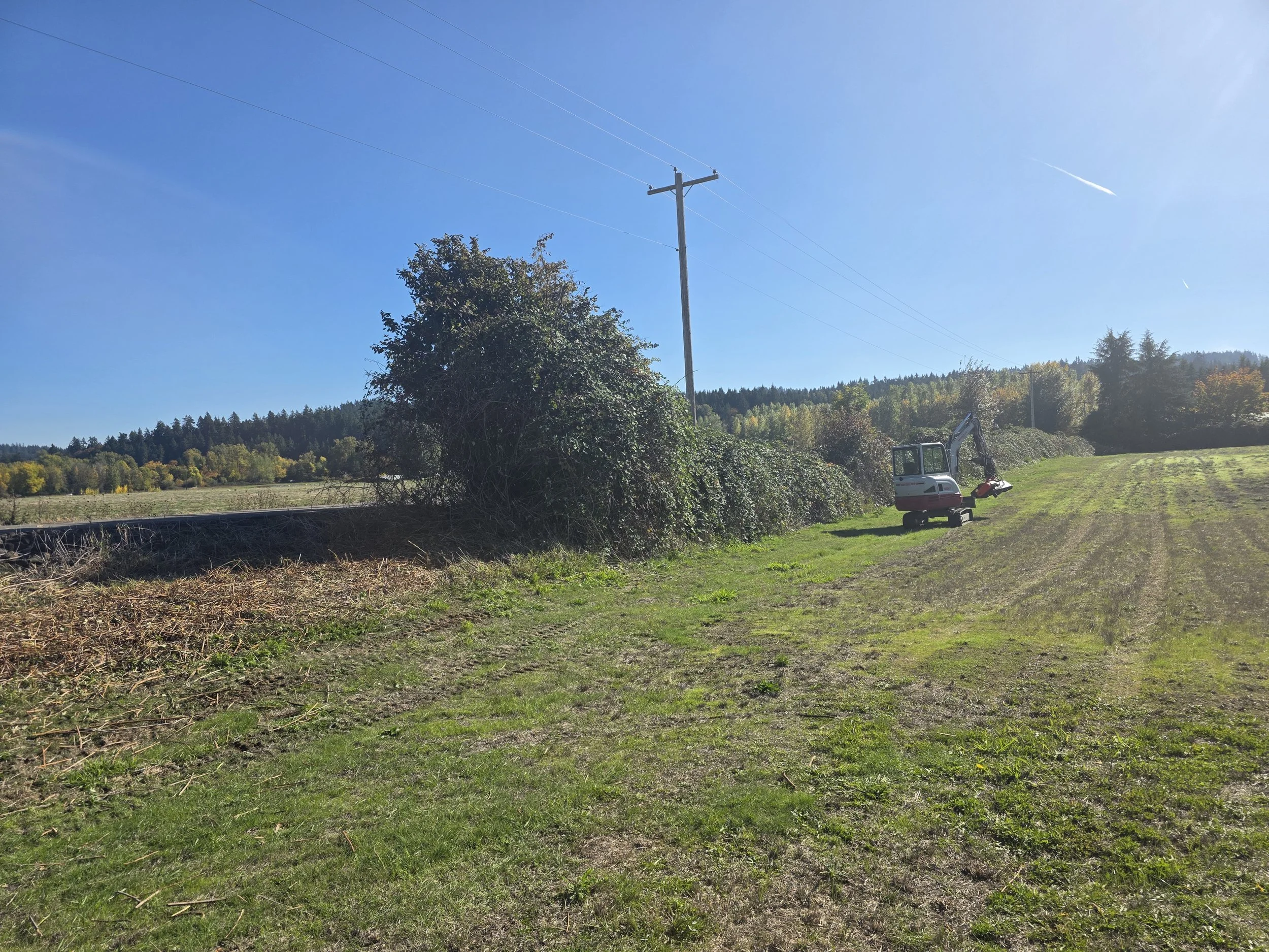 A grassy field with some trees, a utility pole, and a small excavator. The sky is blue with some contrails.