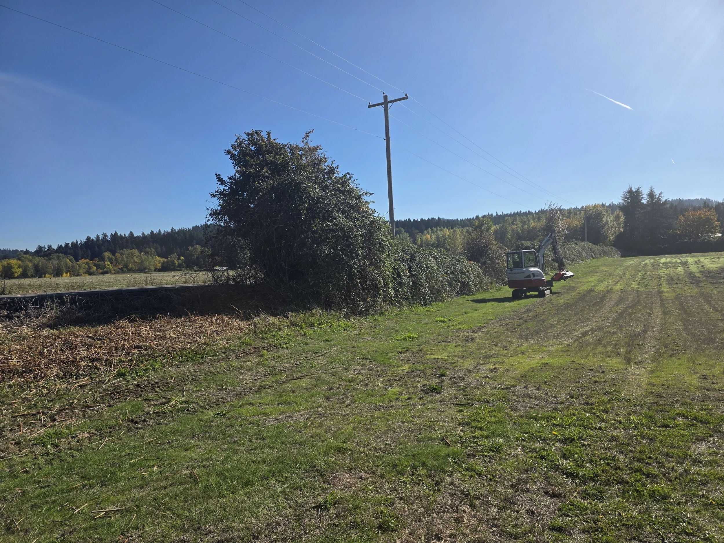 A grassy field with a small excavator near a pile of dirt, a utility pole with power lines, and a forest in the background under a clear blue sky.