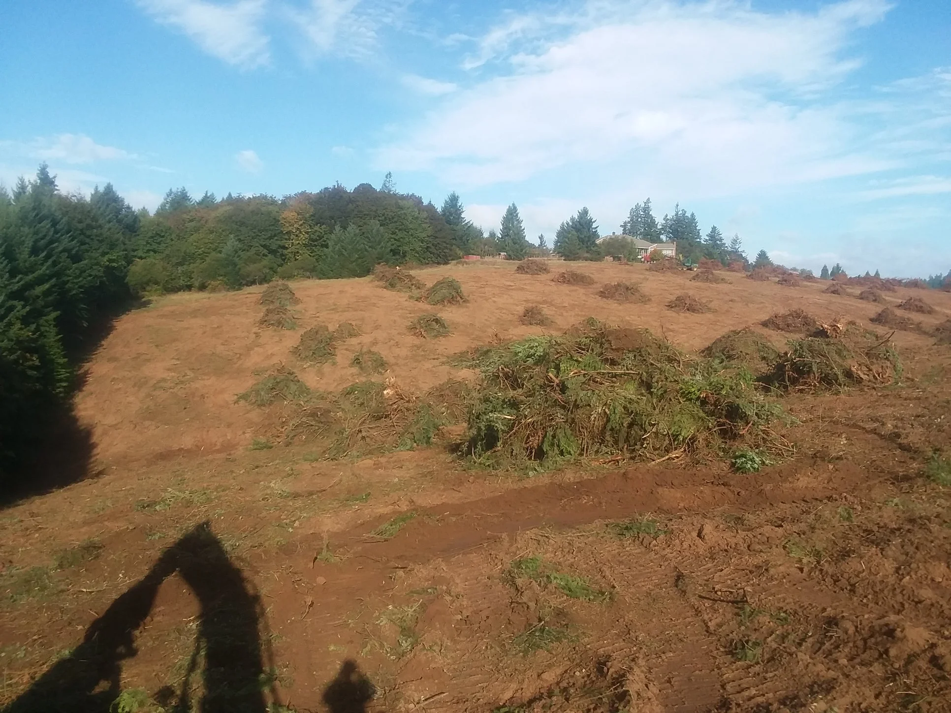A hillside with small bushes and trees at the top, and an area of recently tilled earth with some scattered green plants at the bottom. There are some houses visible at the top of the hill. The sky is blue with some clouds.