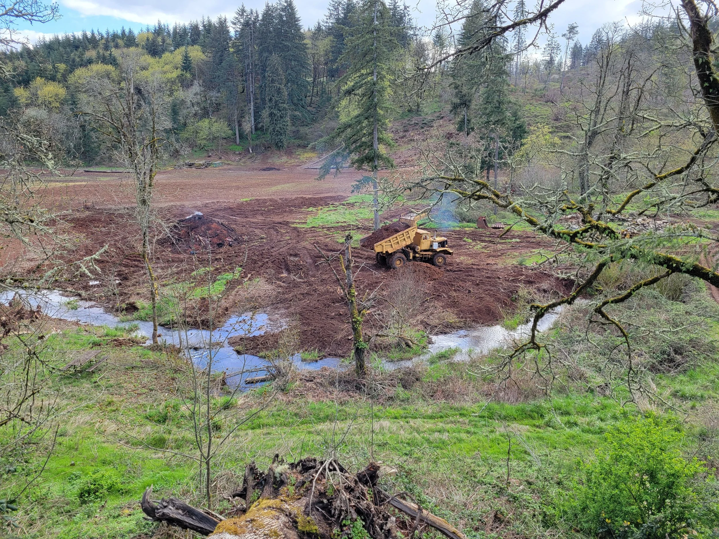 Land clearing Mill City Oregon.