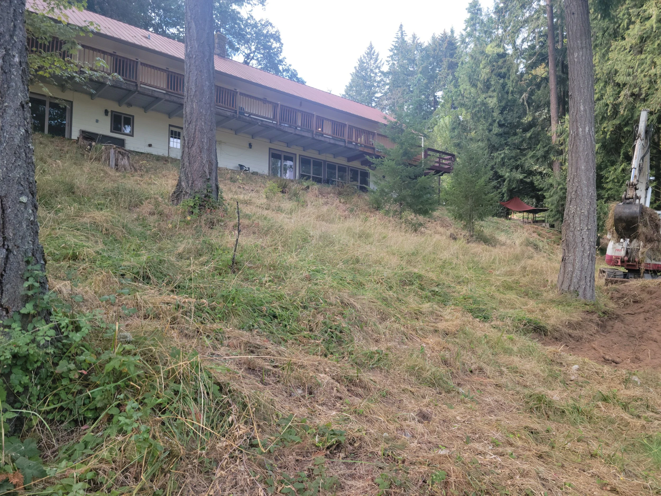 Hill before rock wall
