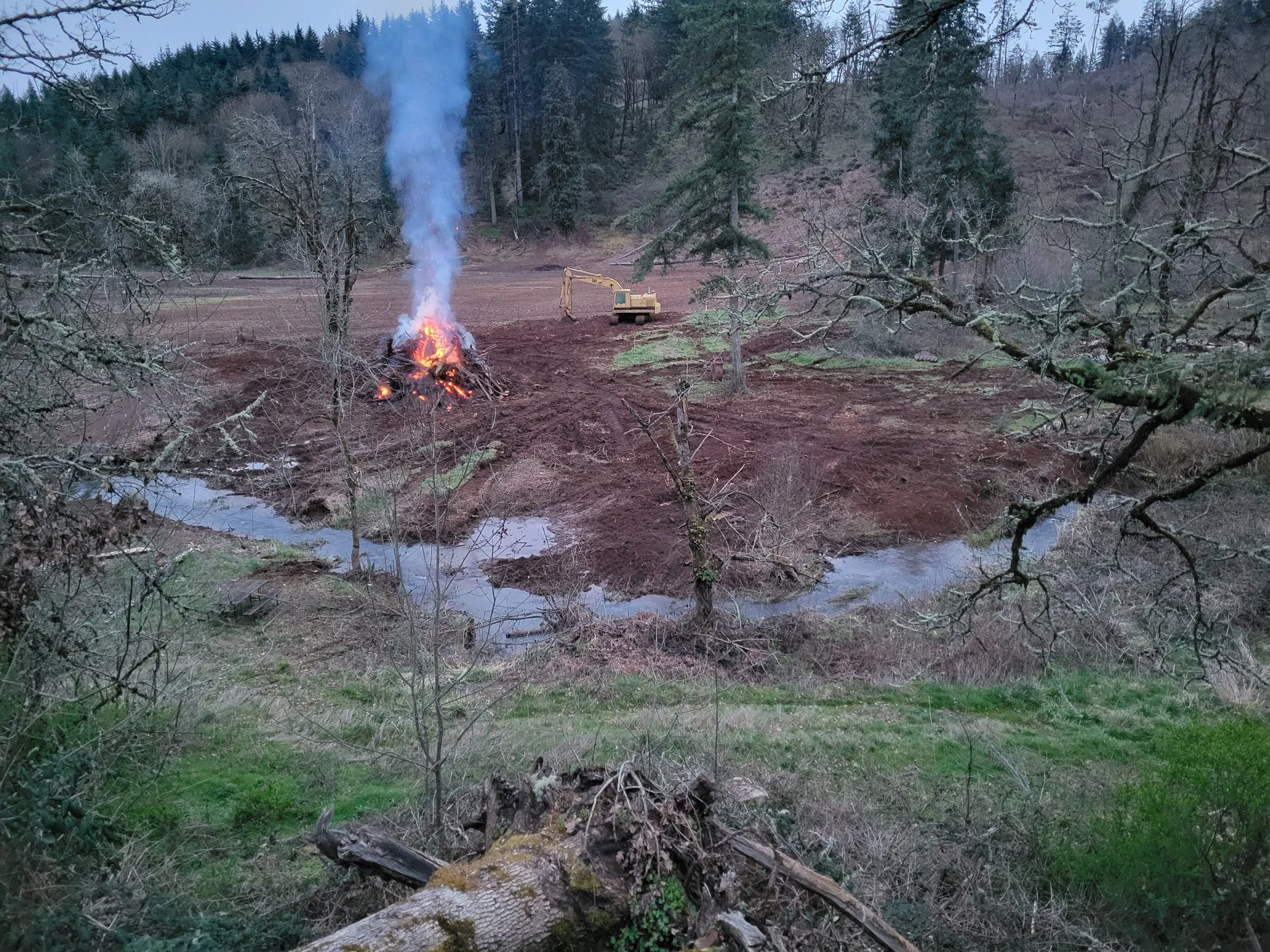 Burning brush pile After land clearing. Turner Oregon.