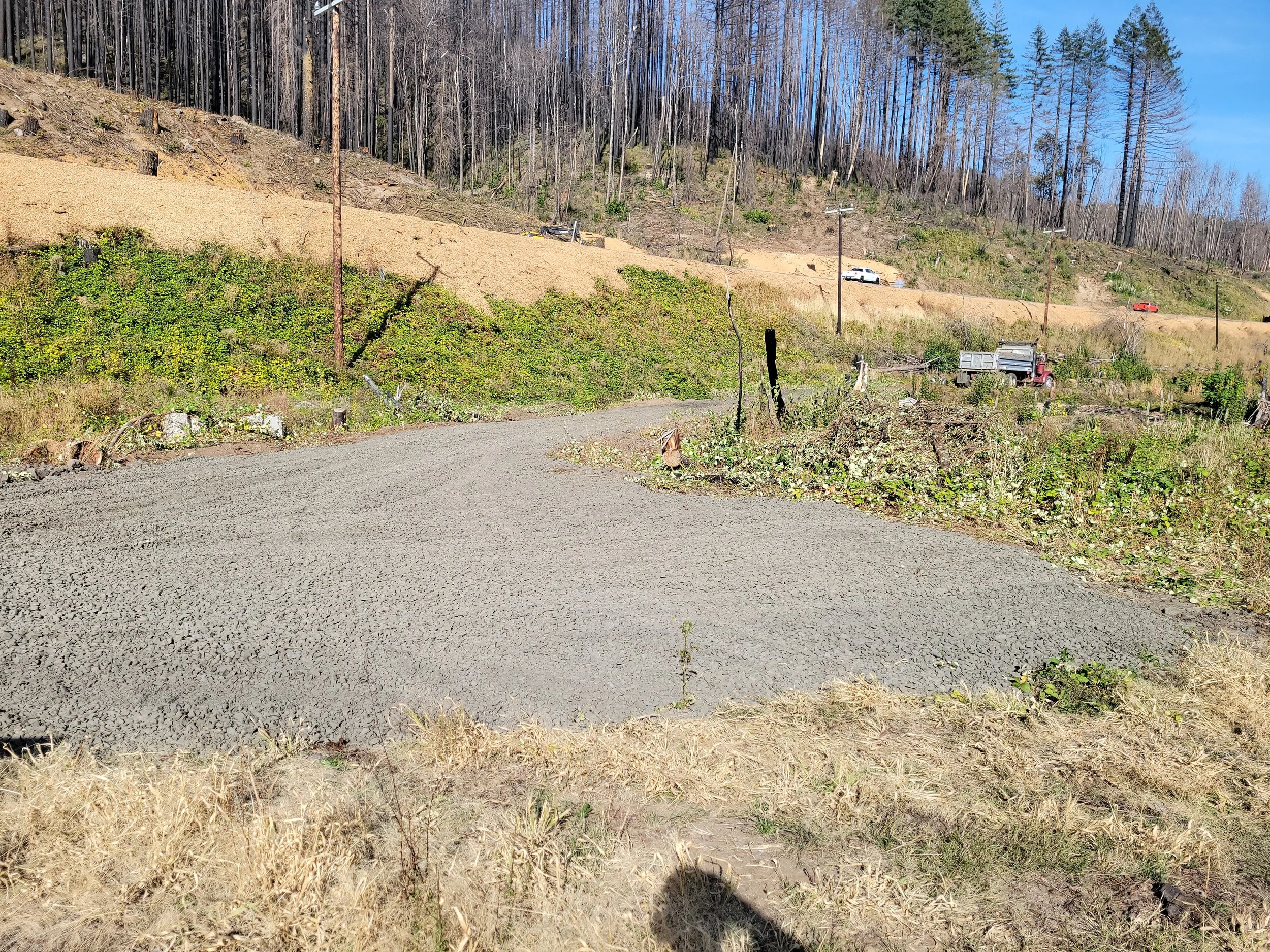 A landscape with a dirt road in the foreground, a hillside with sparse vegetation and a few vehicles, and a forest at the top with burnt trees and some green patches under a clear blue sky.