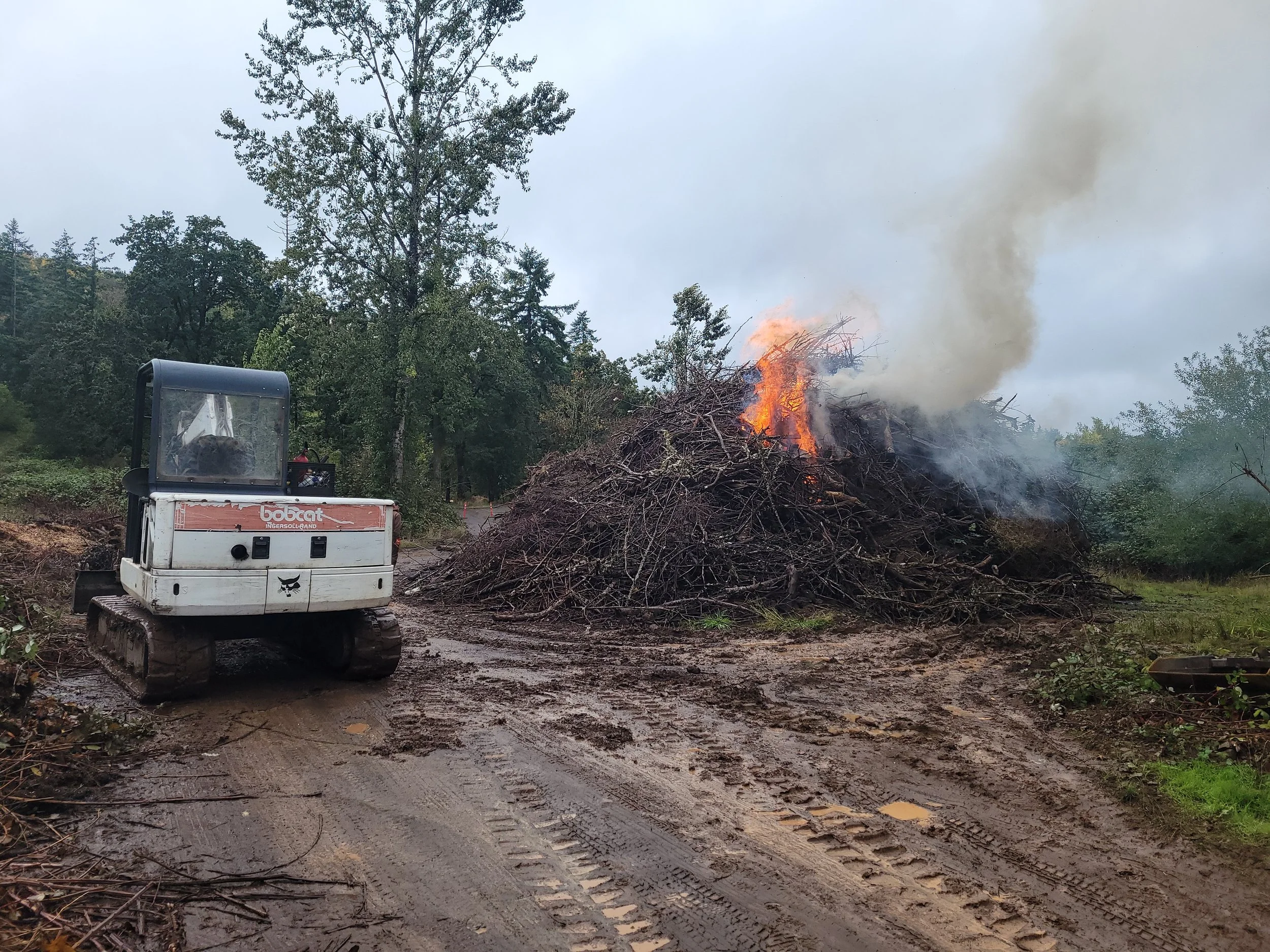 A small tracked vehicle carrying a load of cut branches is near a large pile of branches on fire, with smoke billowing into the sky in a wooded area.