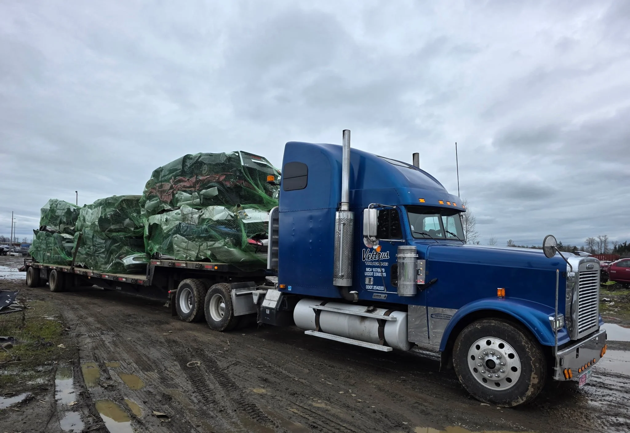 Blue semi-truck carrying crushed cars wrapped in green netting parked on a muddy lot under gray cloudy sky.