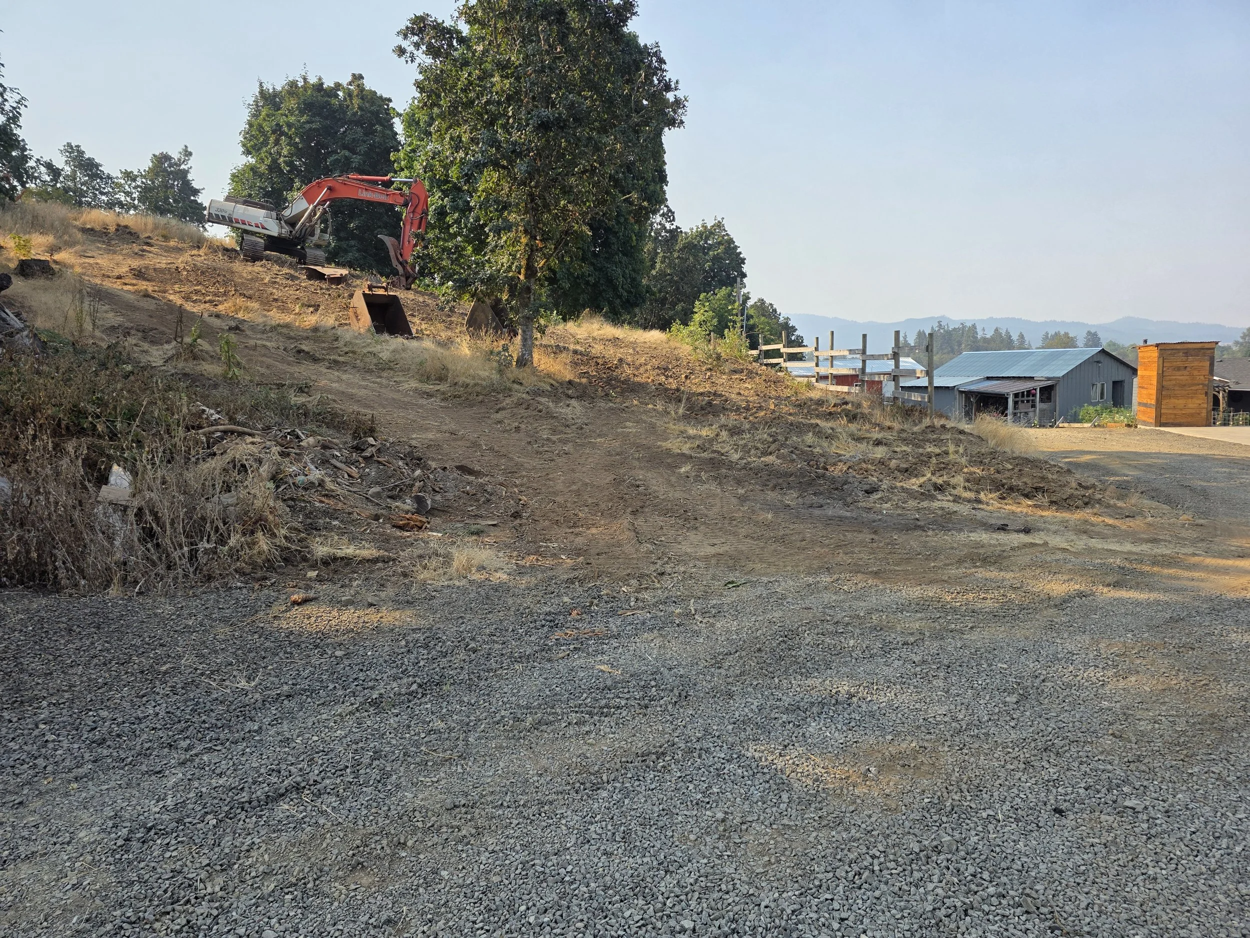 Land Clearing in the Willamette Valley.