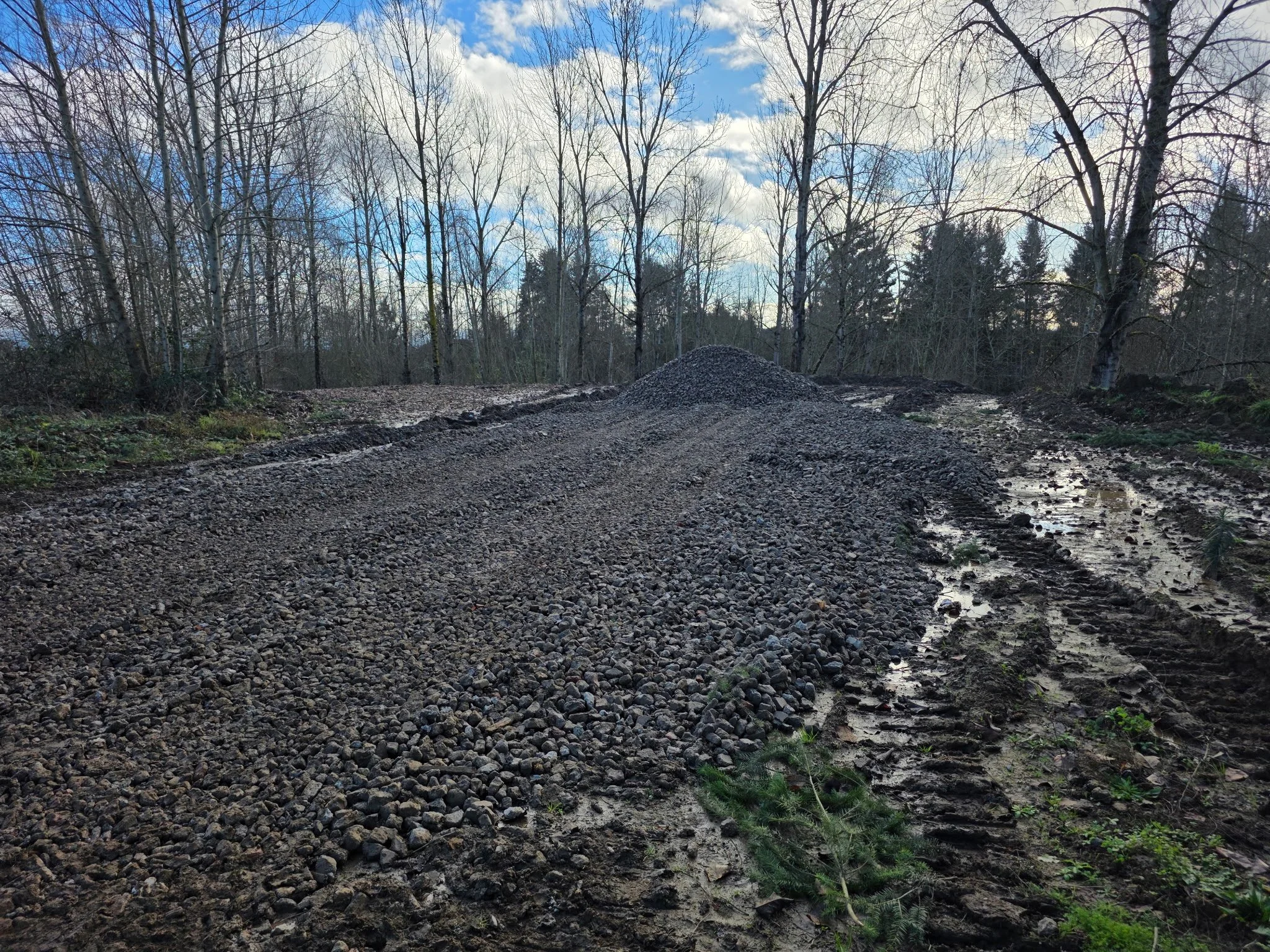 A dirt and gravel trail in a forest with leafless trees under a partly cloudy sky. Salem Oregon