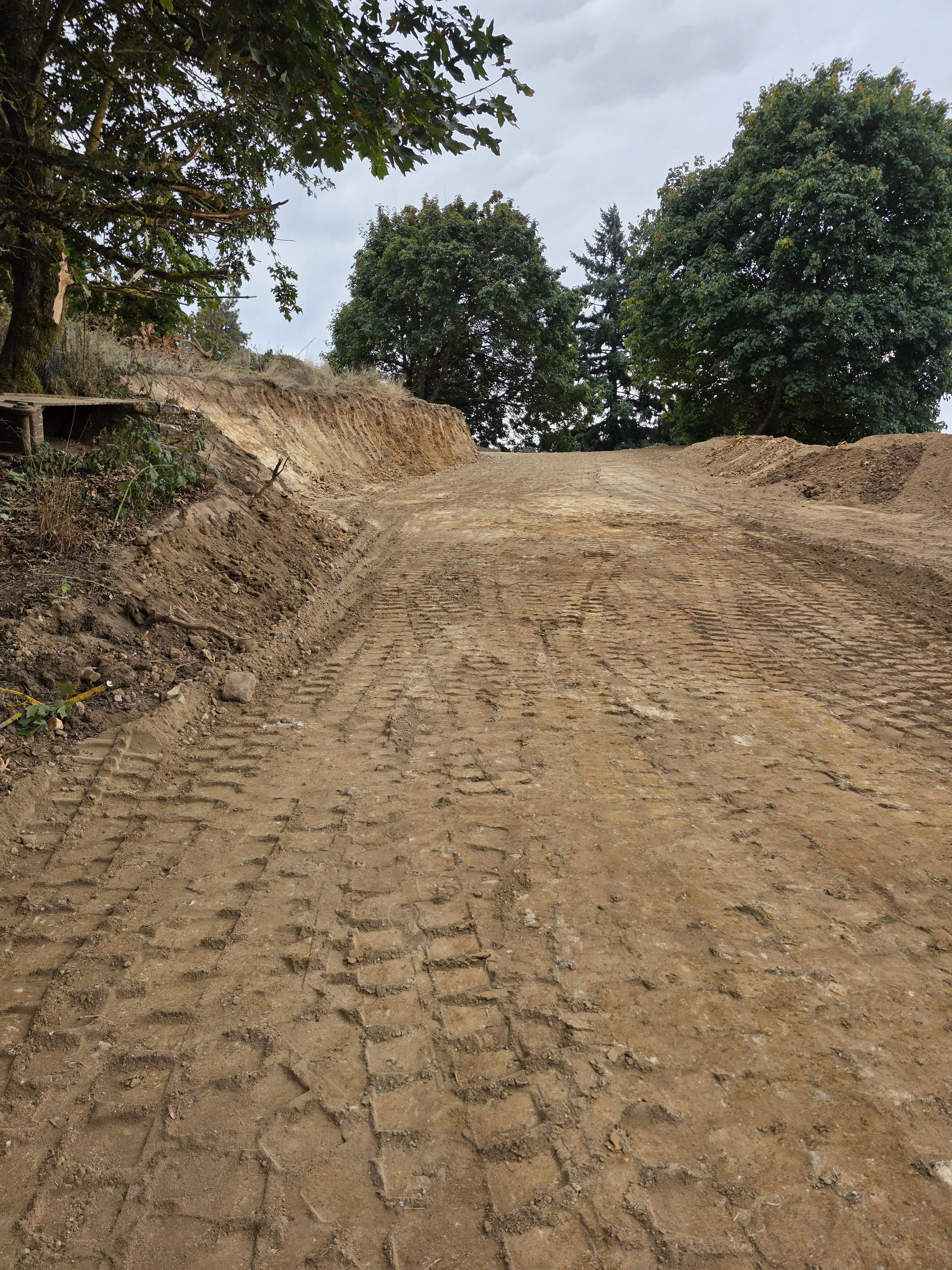 A dirt road with visible tire tracks, flanked by trees and a small wood platform on the left, with an overcast sky.