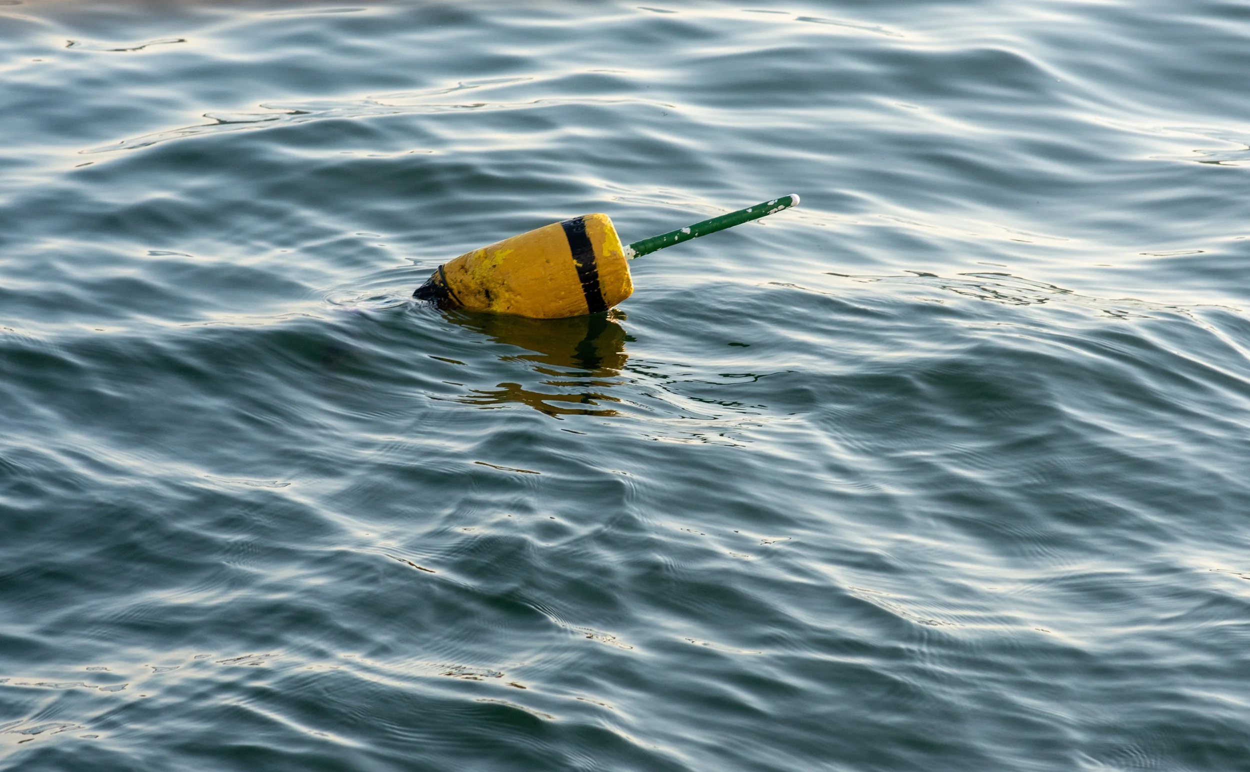 A lone bouey in Bar Harbor, Maine marks a lobster trap.