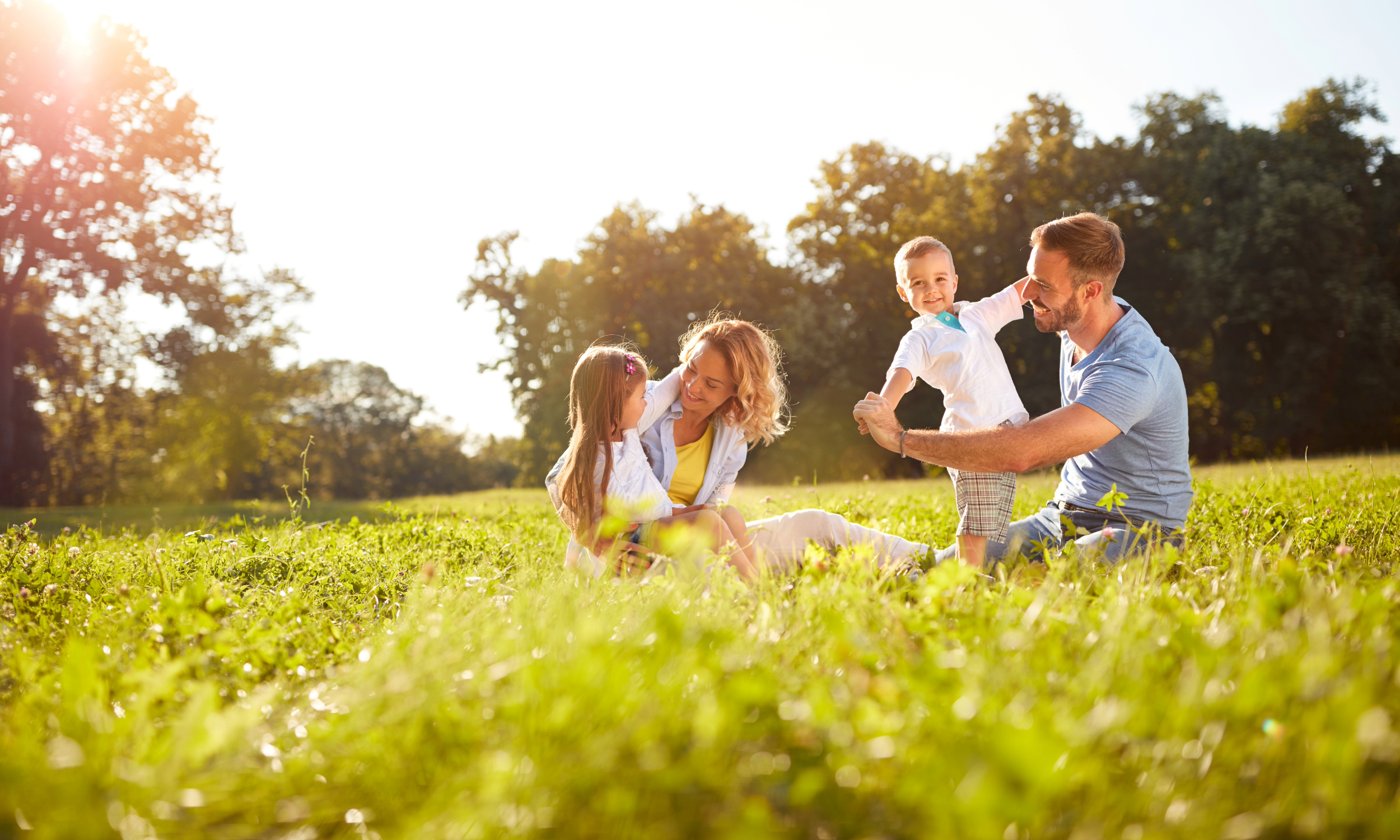 Understanding Life Insurance