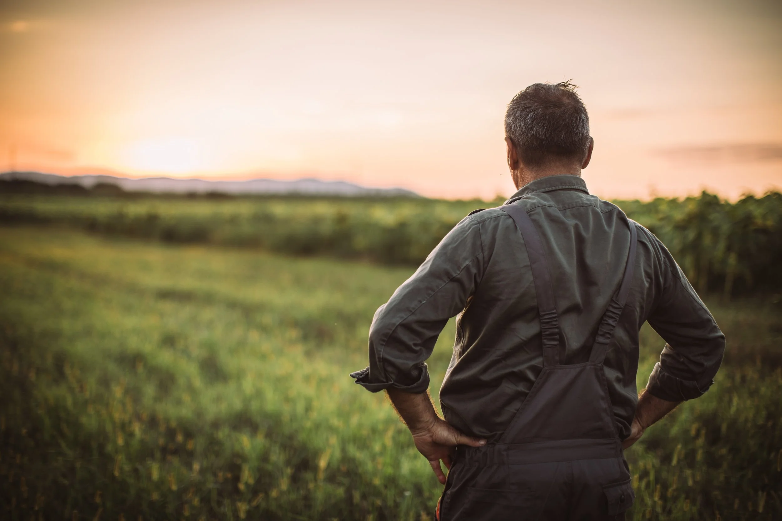 A man with gray hair stands outdoors during sunset, facing away with his hands on his hips, overlooking a green landscape with a mountain range in the distance.